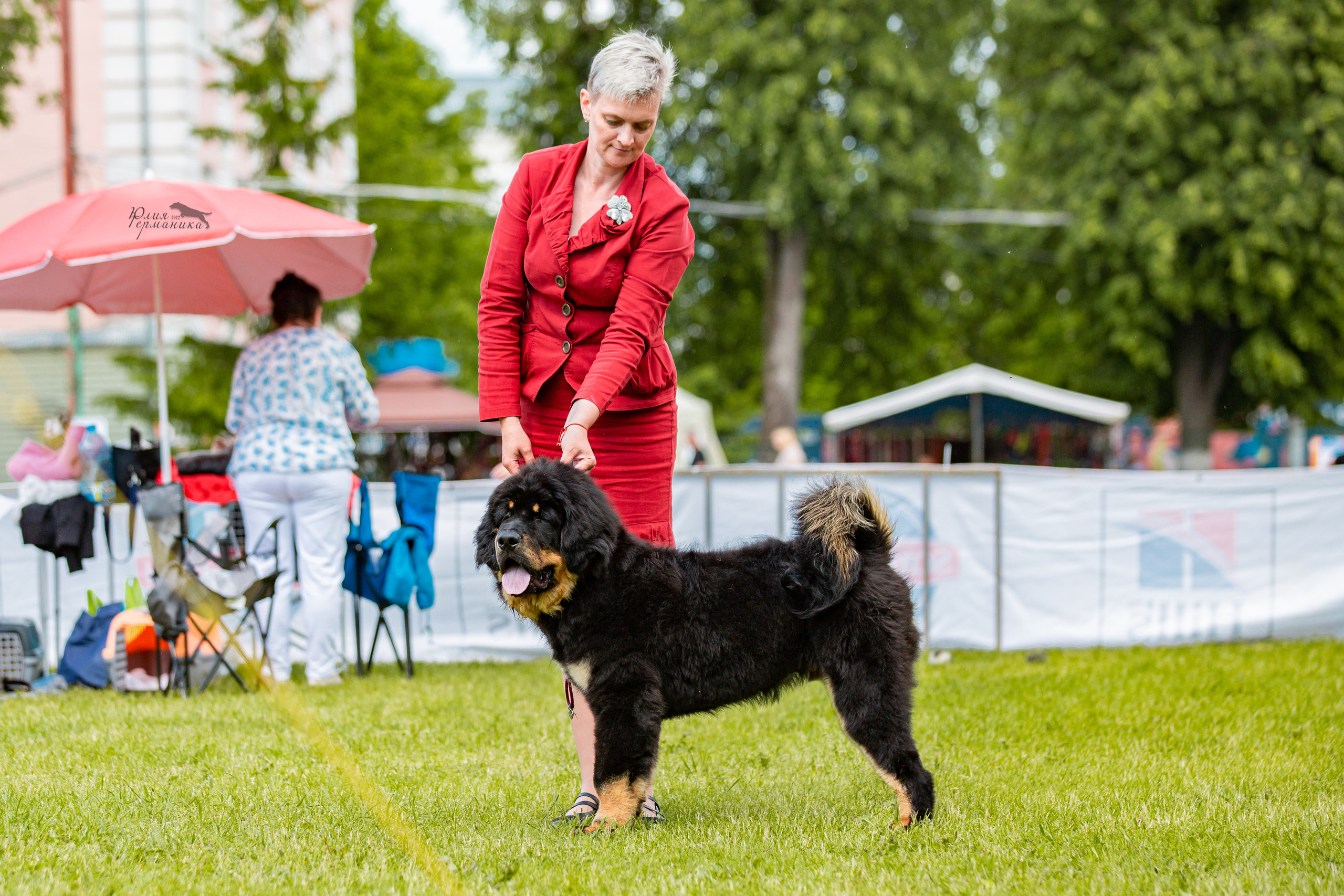 Смоленск 12.06,   Ховрино 13.06,    Питер 18.06 2022. Фотограф-анималист Юлия Германика
