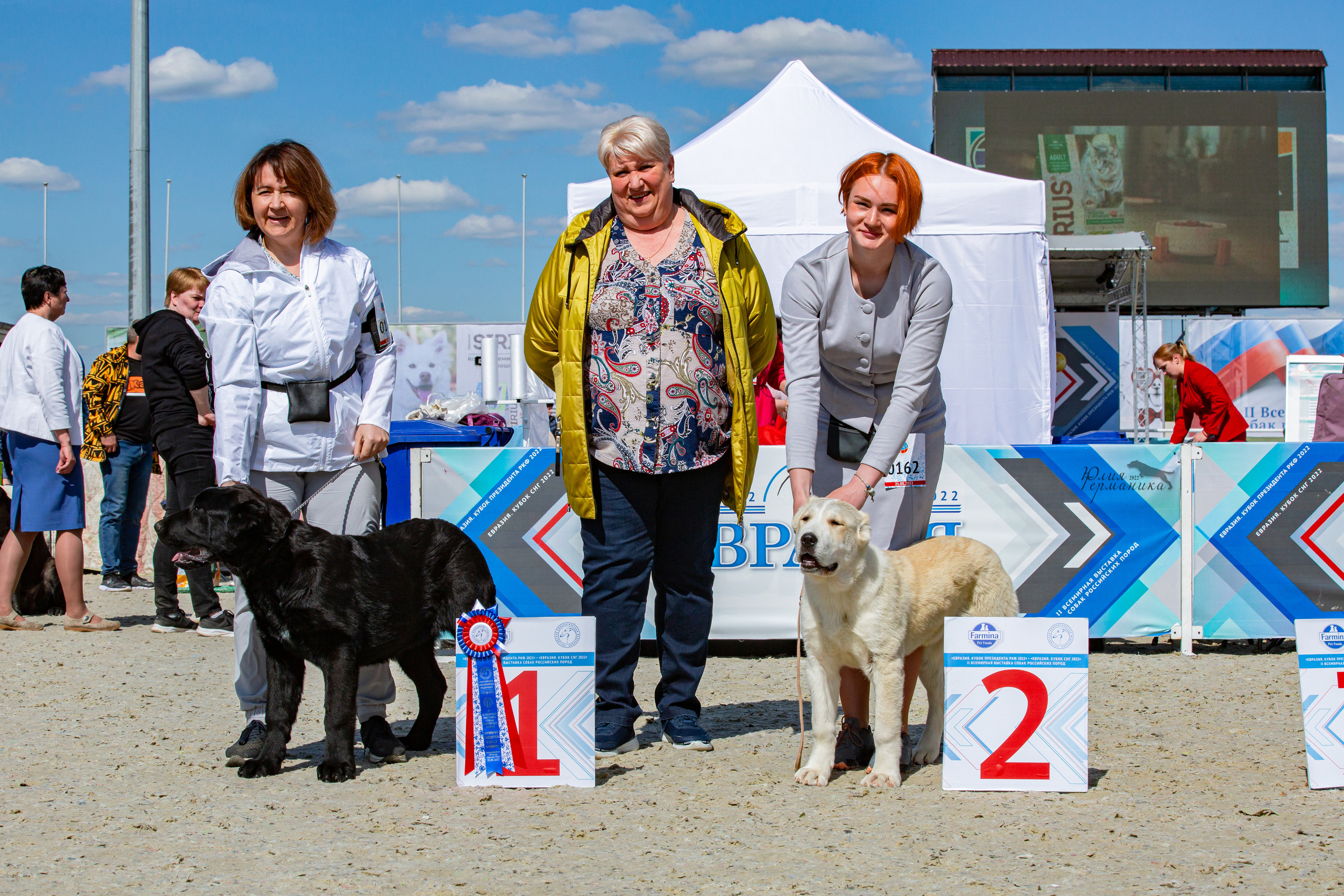 Евразия 21-22 мая 2022. Фотограф-анималист Юлия Германика