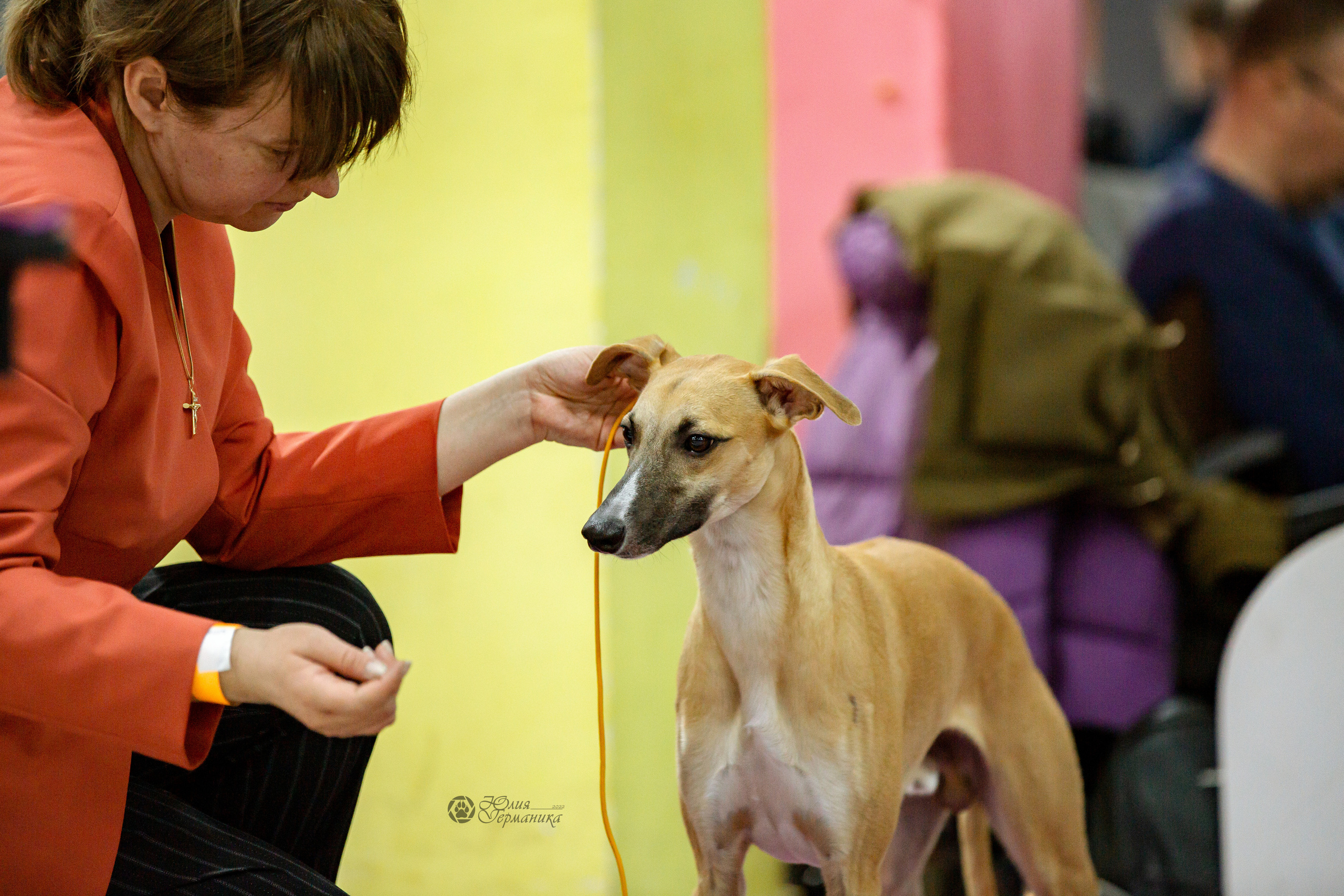 Чайна-Таун 16-17 апреля 2022. Фотограф-анималист Юлия Германика