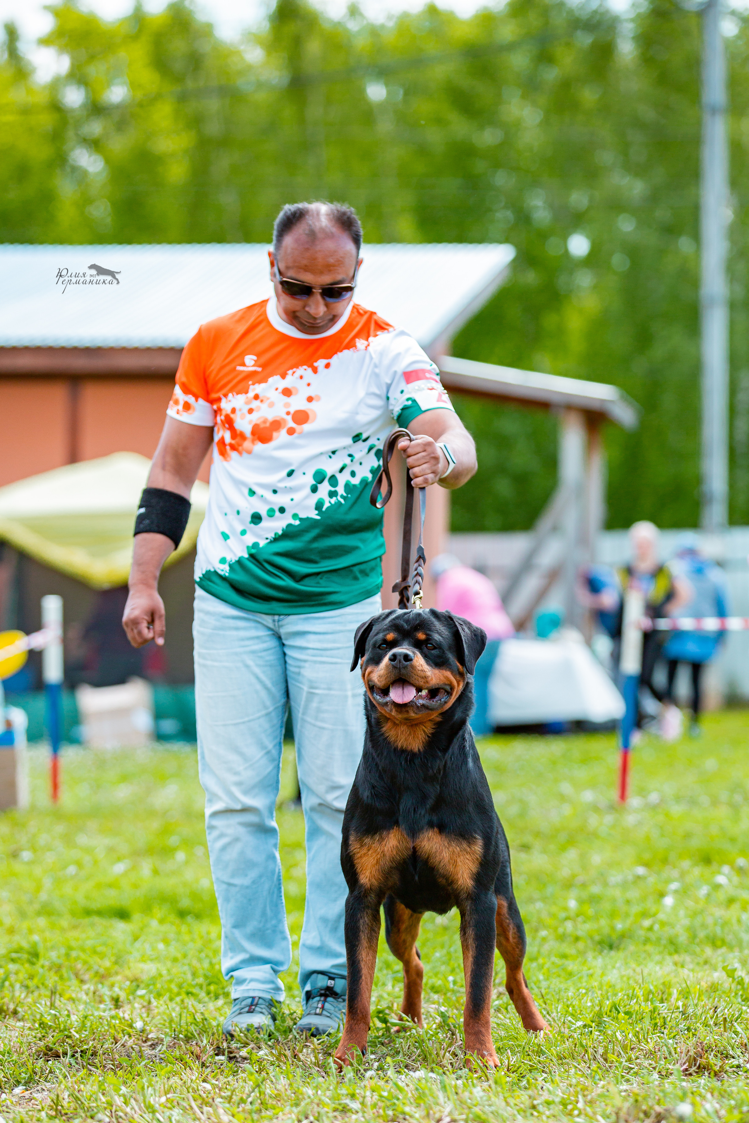 Нижний Новгород моно ротвейлеров 4 июня 2022. Фотограф-анималист Юлия Германика