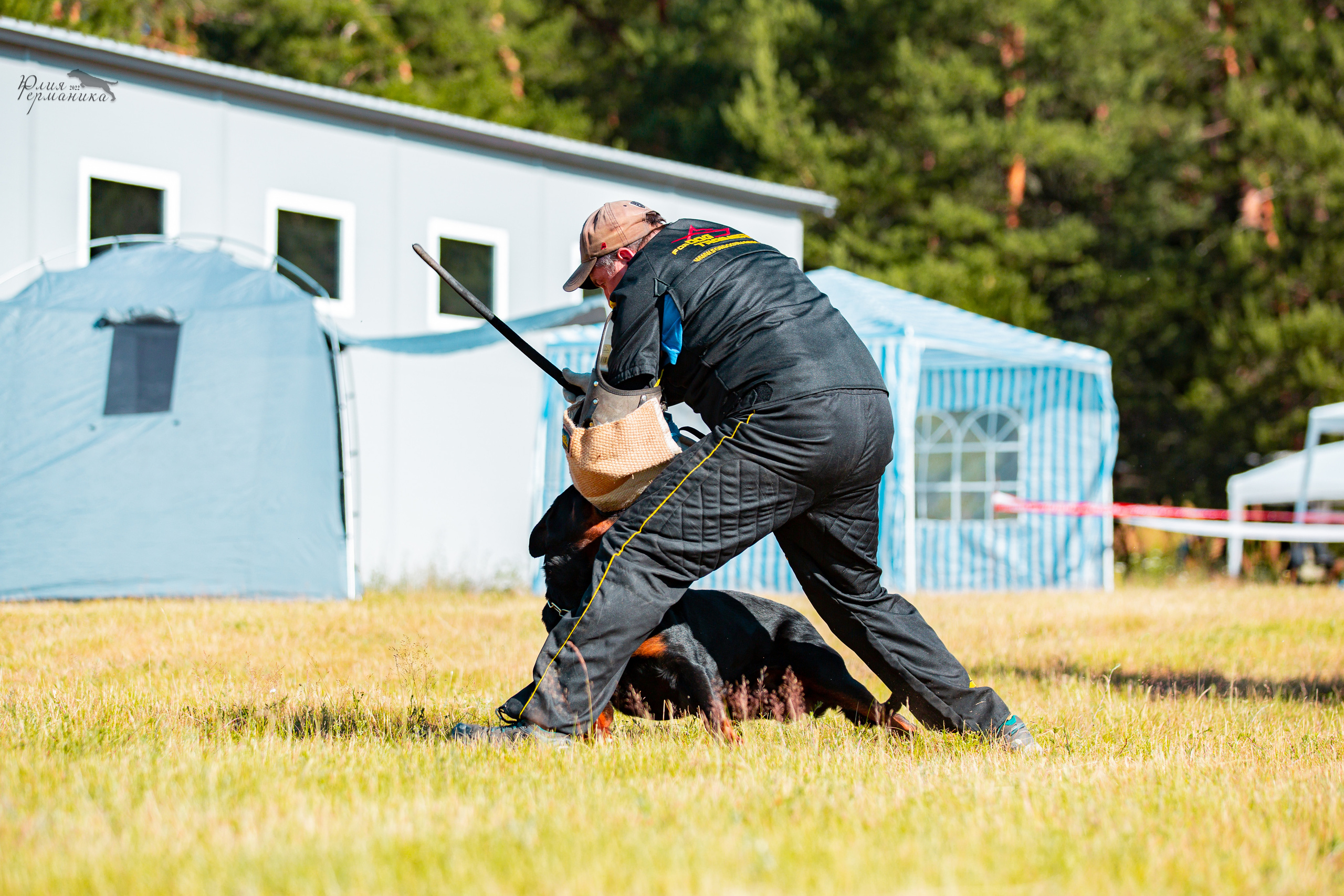 Тверь моно ротвейлеров 2-3.07.2022. Фотограф-анималист Юлия Германика