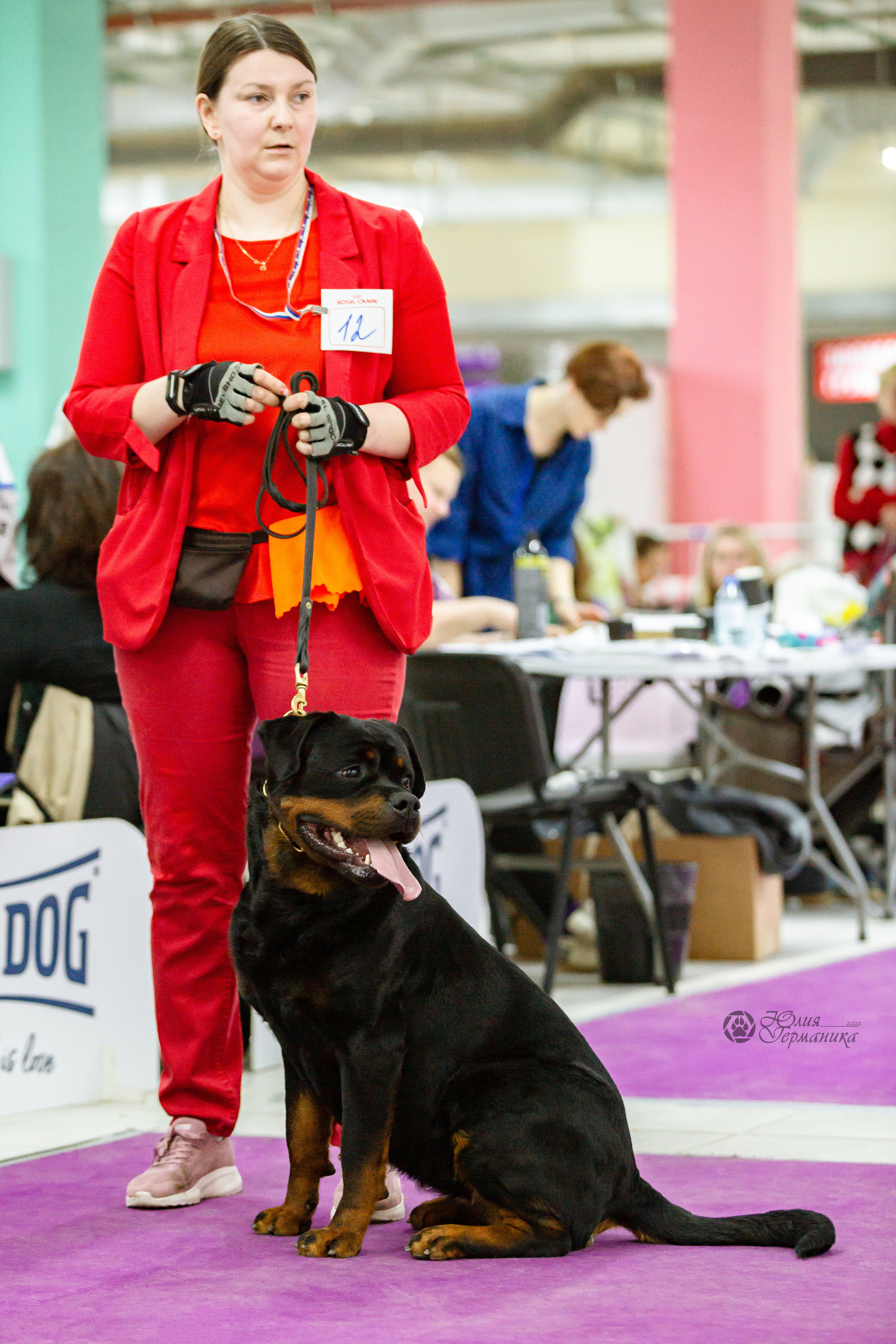 Чайна-Таун 16-17 апреля 2022. Фотограф-анималист Юлия Германика