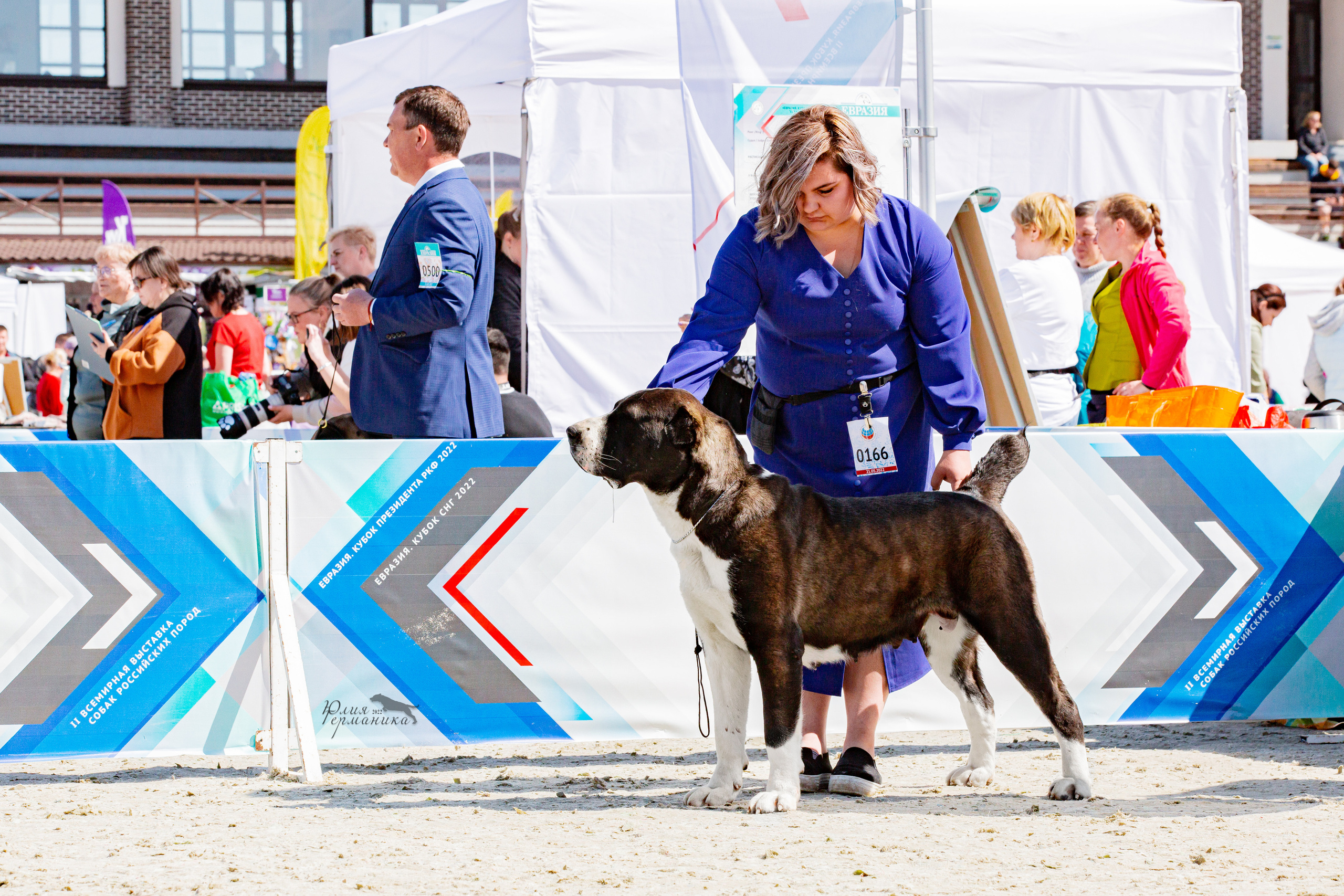 Евразия 21-22 мая 2022. Фотограф-анималист Юлия Германика