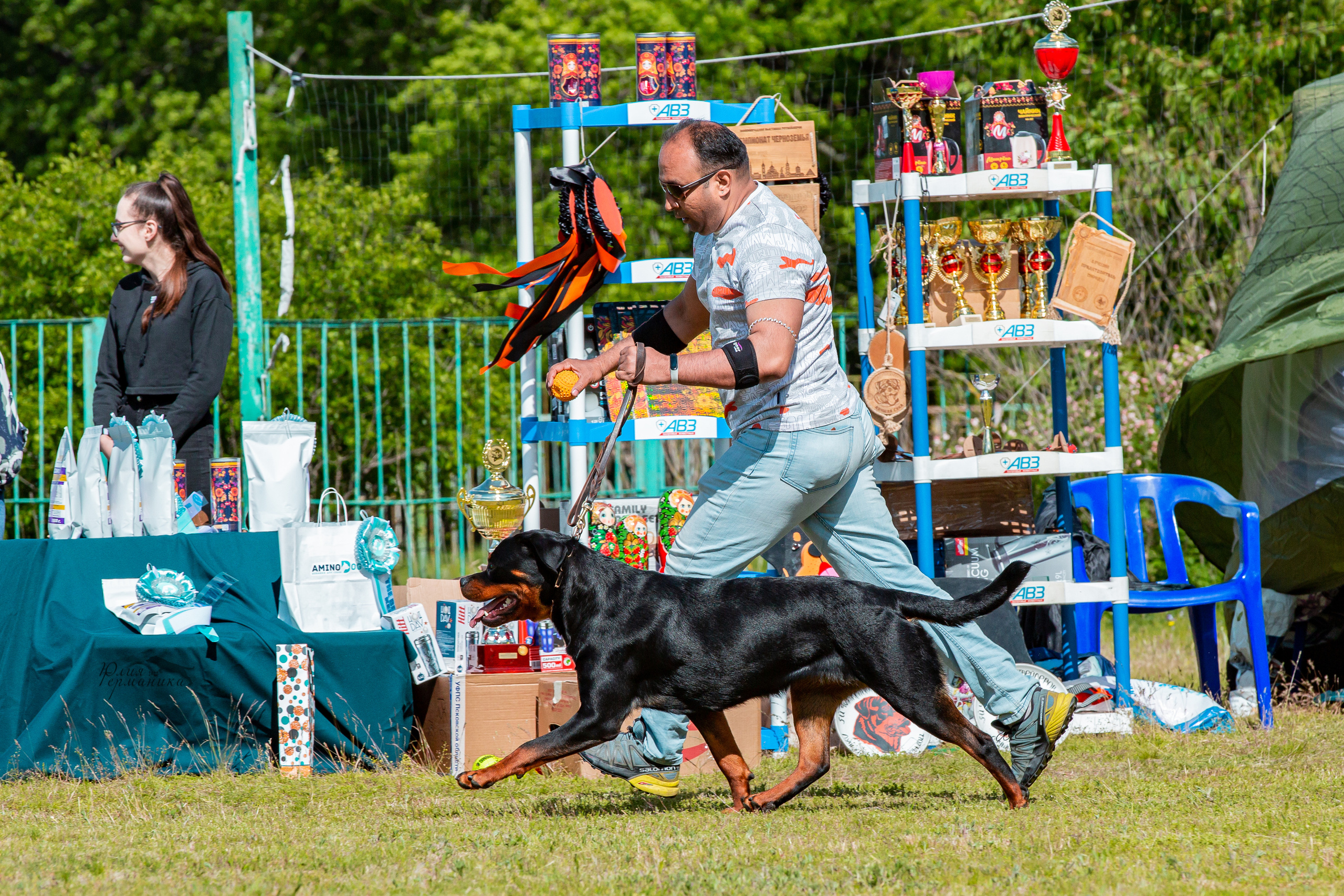 Нижний Новгород моно ротвейлеров 4 июня 2022. Фотограф-анималист Юлия Германика