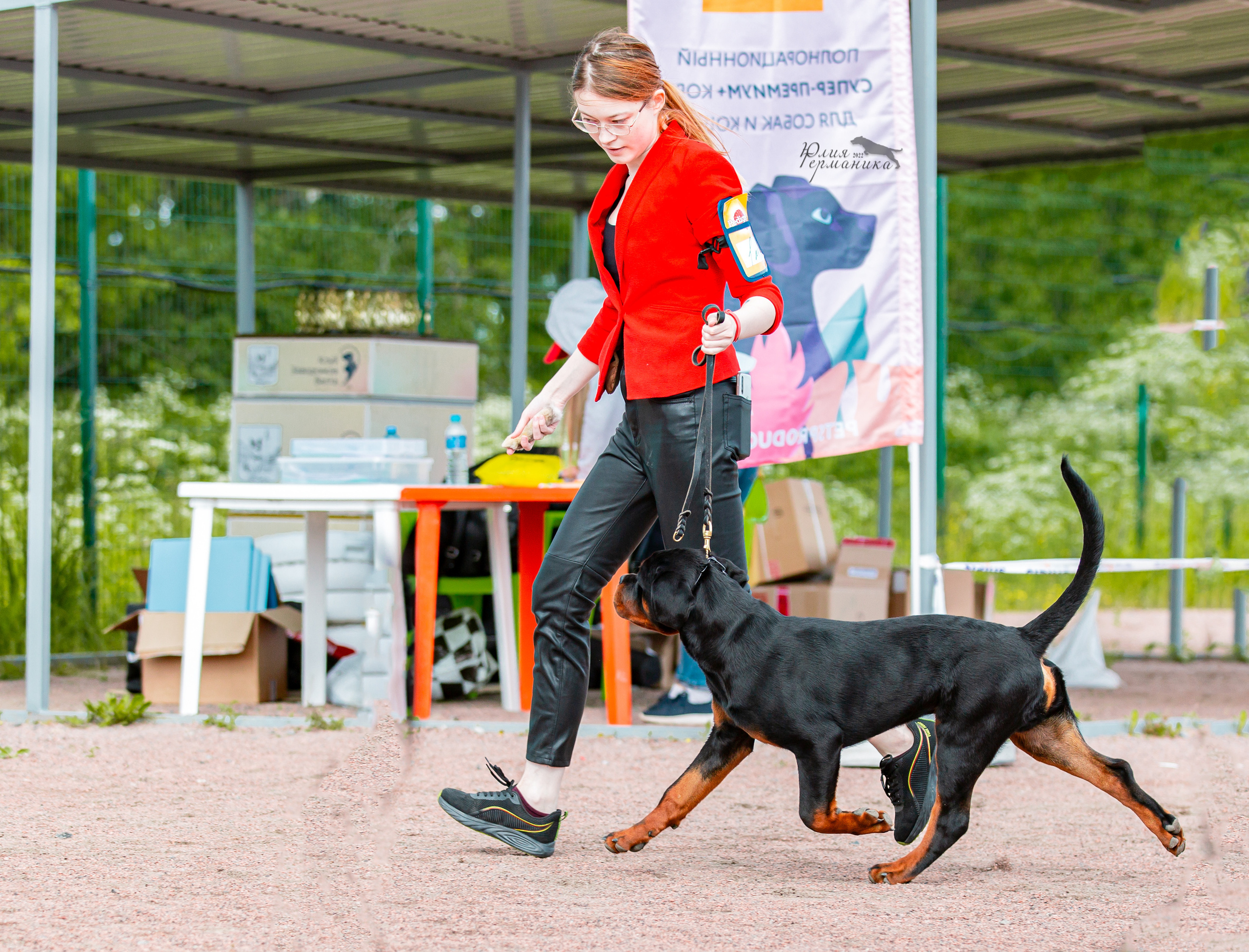 Смоленск 12.06,   Ховрино 13.06,    Питер 18.06 2022. Фотограф-анималист Юлия Германика