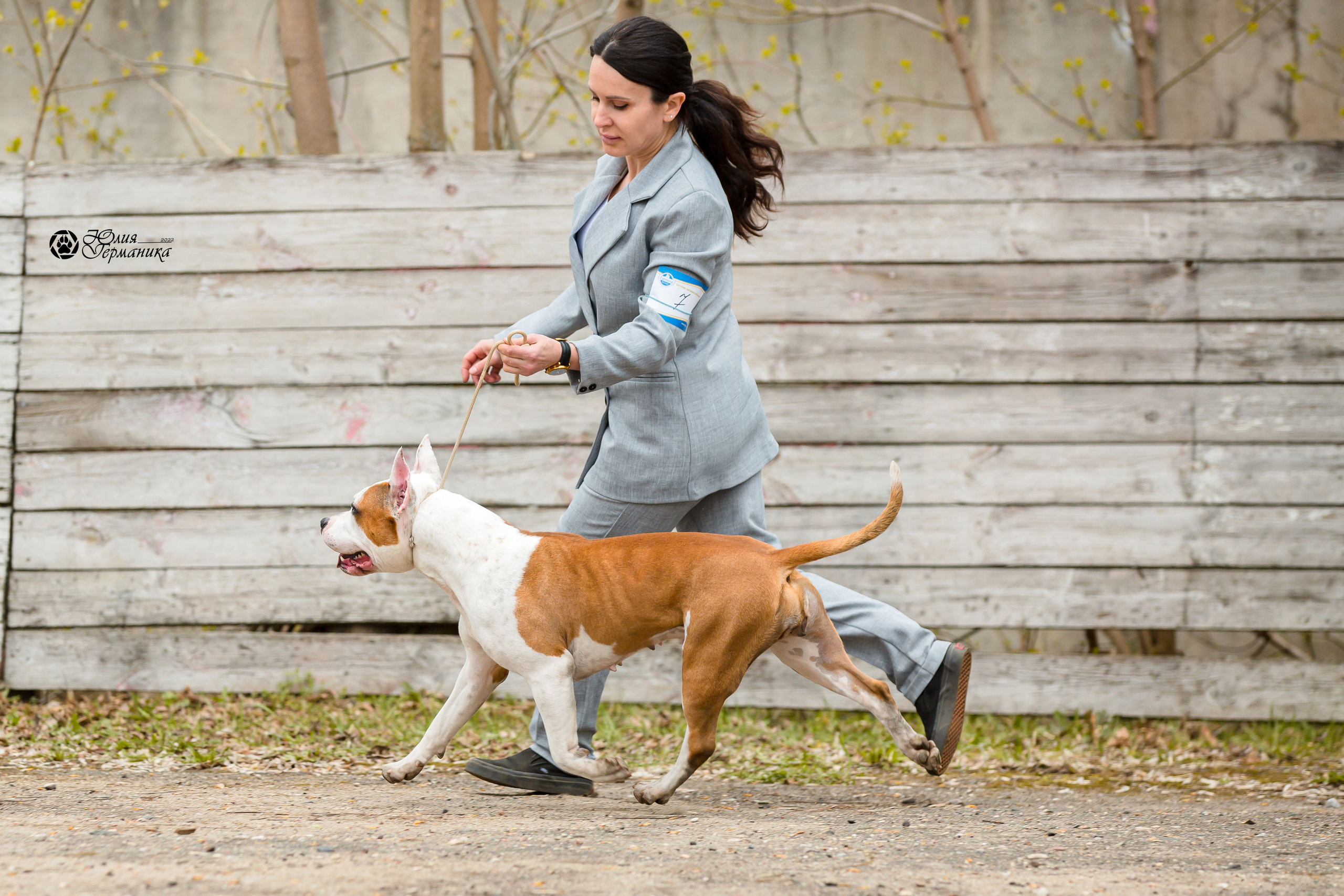 Александров 2хСАС 8 мая 2022. Фотограф-анималист Юлия Германика