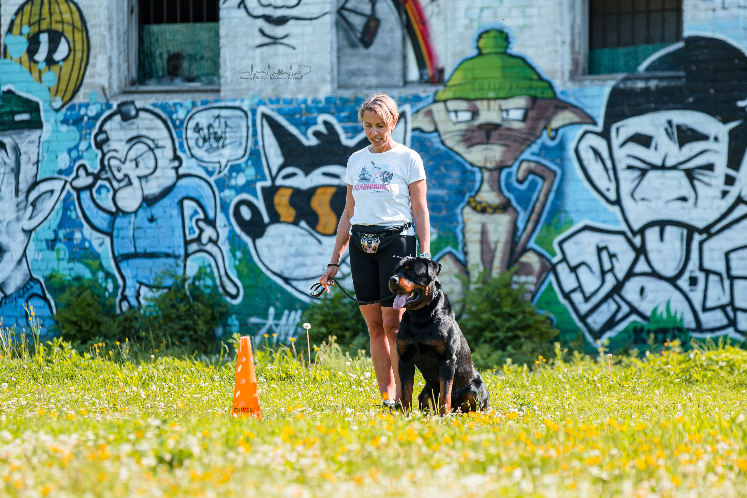 Санкт-Петербург моно ротвейлеров 23.07.2022. Фотограф-анималист Юлия Германика