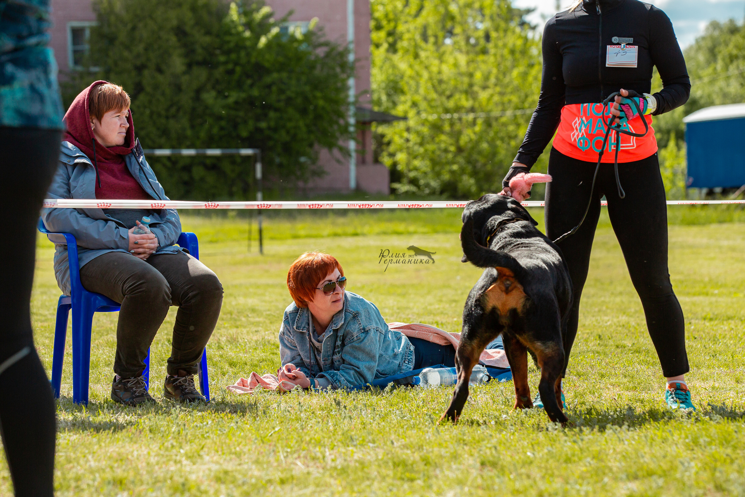 Воронеж моно ротвейлеров 28-29 мая 2022. Фотограф-анималист Юлия Германика