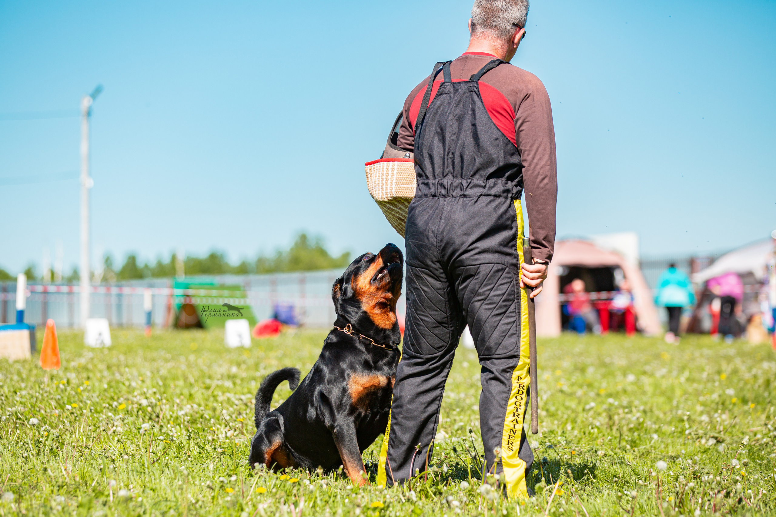 Нижний Новгород моно ротвейлеров 4 июня 2022. Фотограф-анималист Юлия Германика