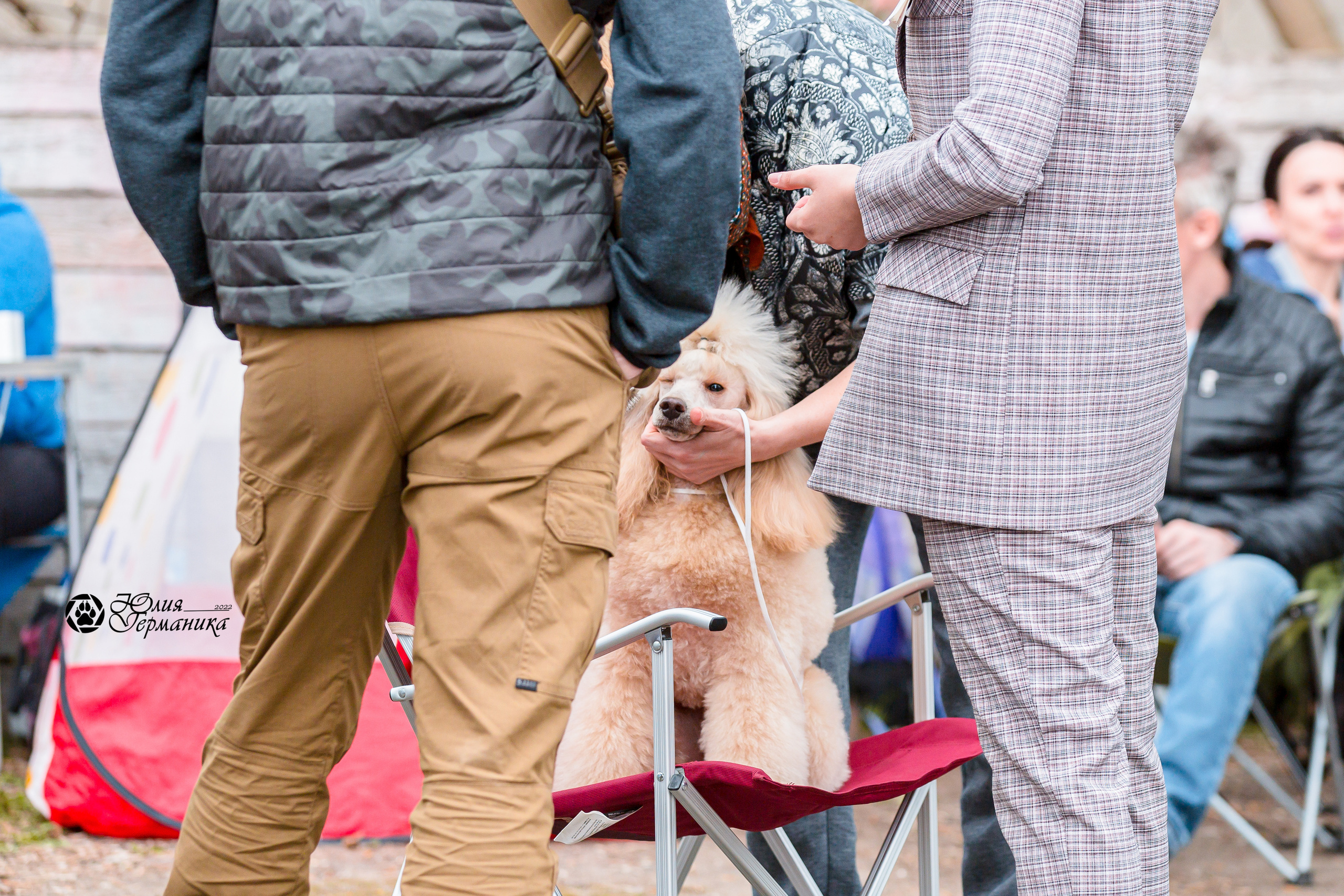 Александров 2хСАС 8 мая 2022. Фотограф-анималист Юлия Германика