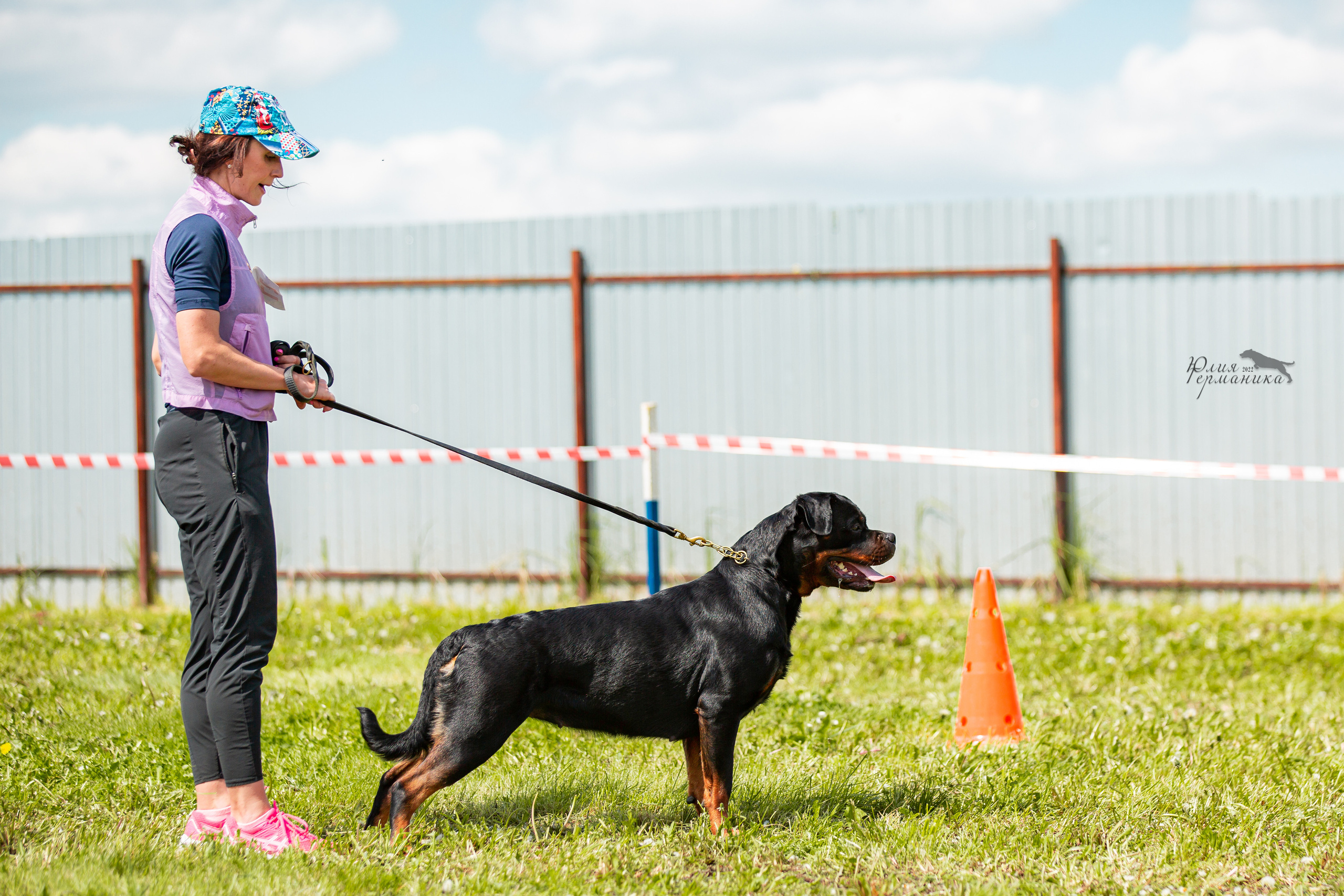 Нижний Новгород моно ротвейлеров 4 июня 2022. Фотограф-анималист Юлия Германика