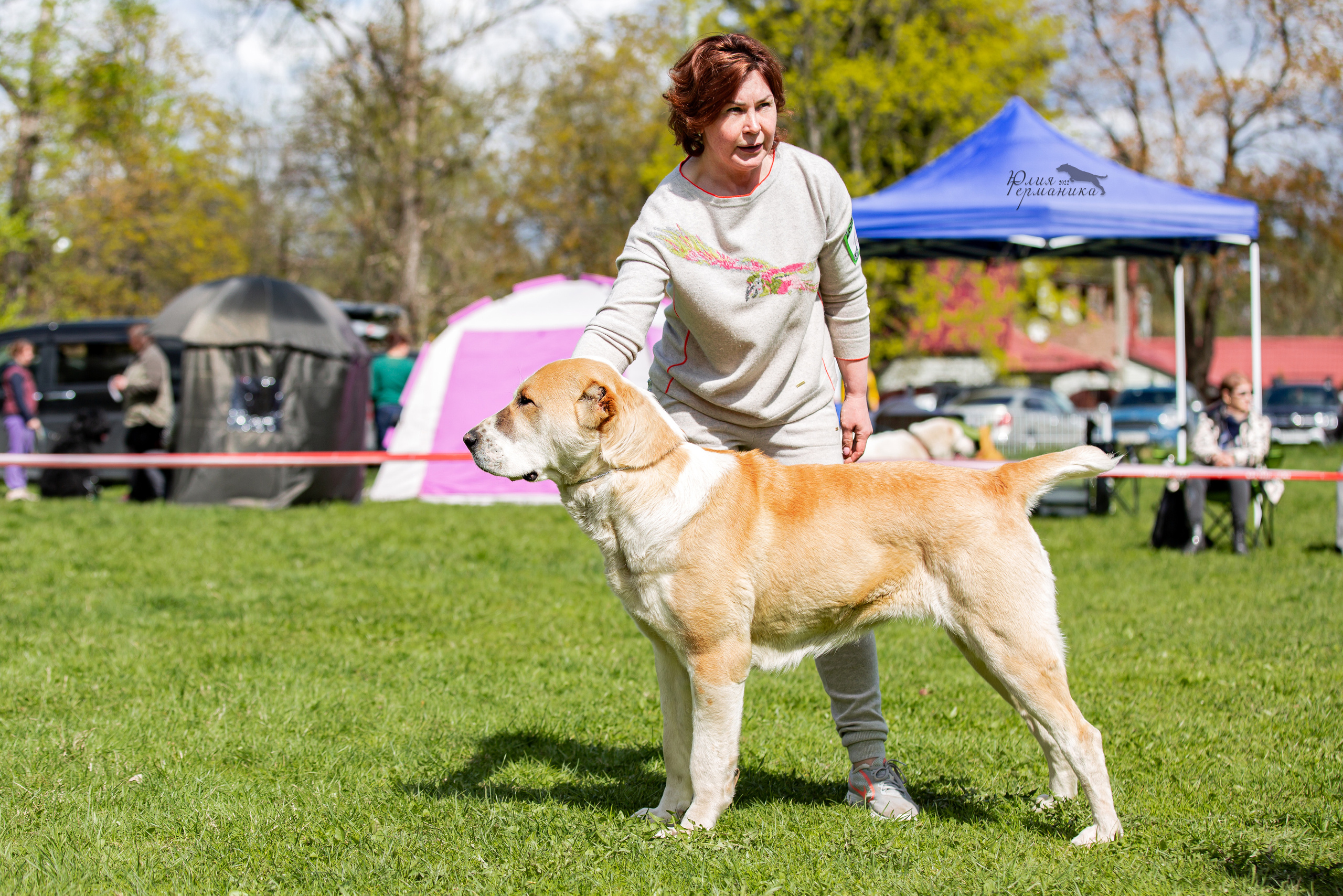 Пушкино 2хЧРКФ 14 мая 2022. Фотограф-анималист Юлия Германика