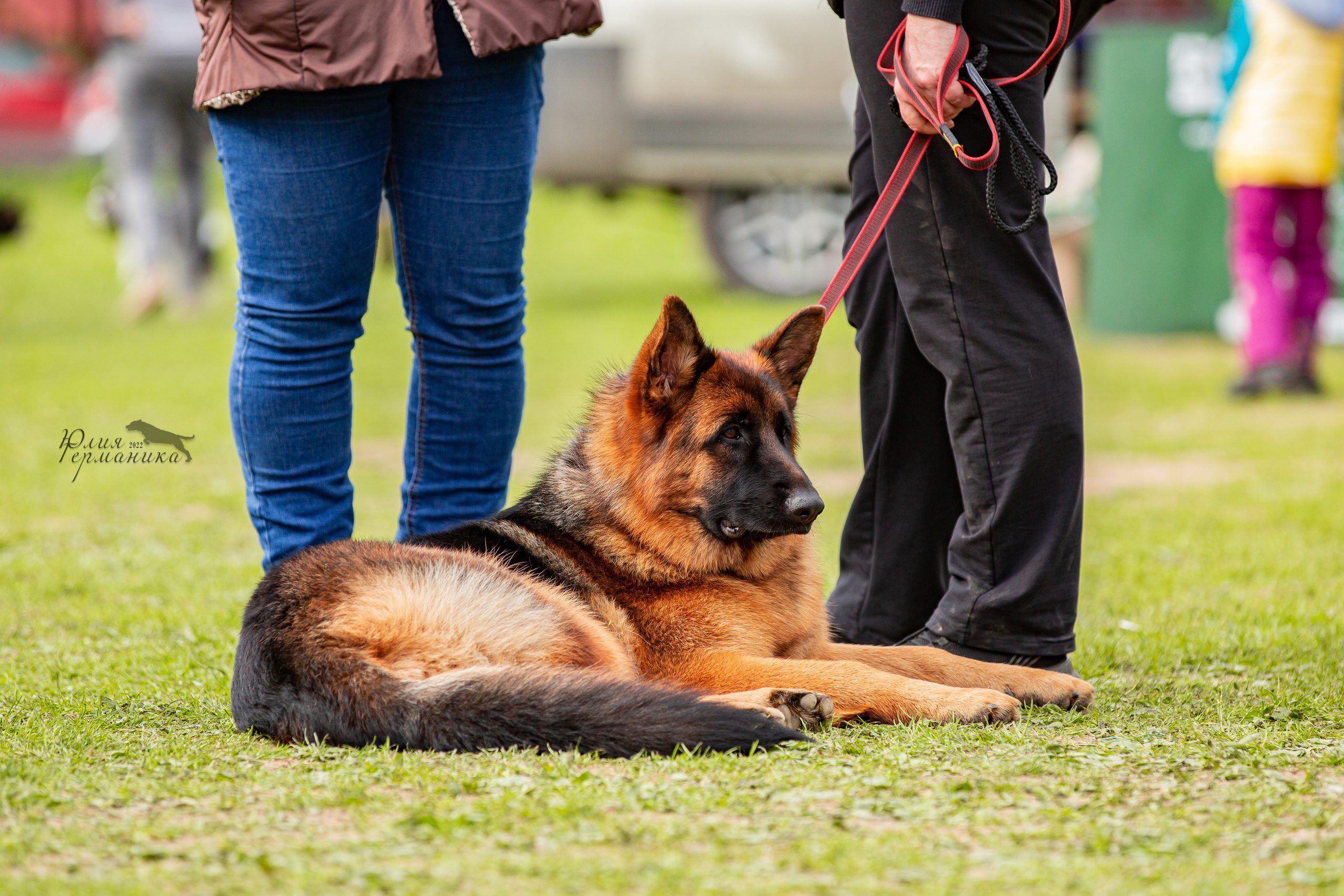 Пушкино 2хЧРКФ 14 мая 2022. Фотограф-анималист Юлия Германика