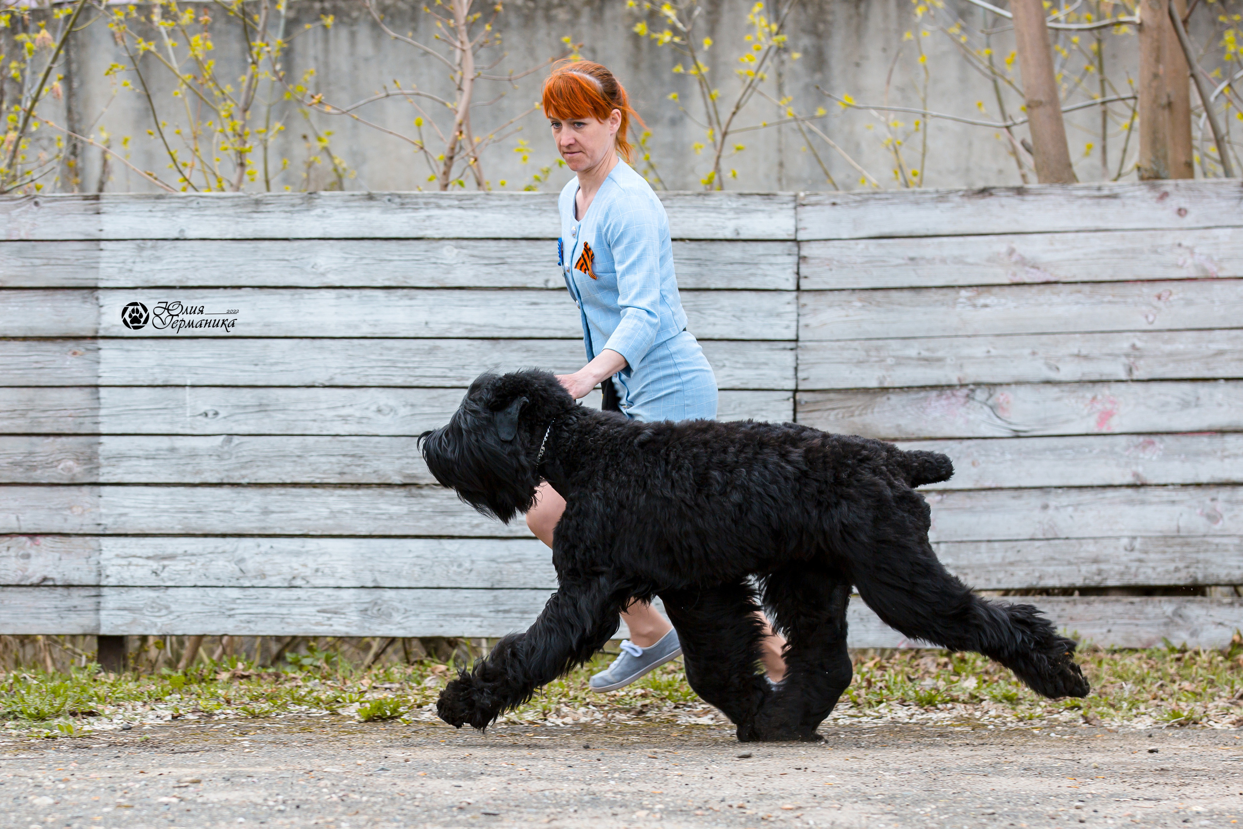Александров 2хСАС 8 мая 2022. Фотограф-анималист Юлия Германика