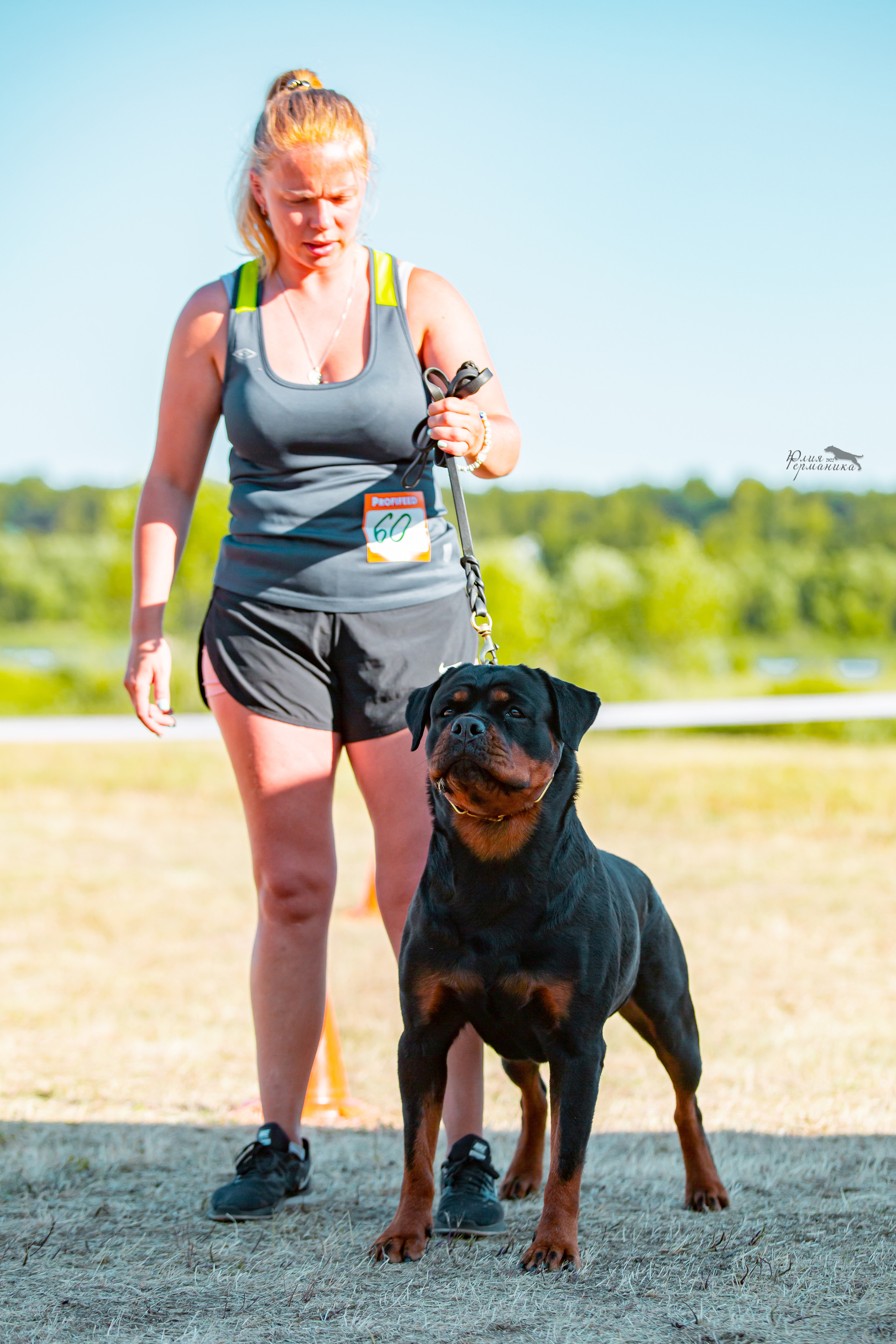 Тверь моно ротвейлеров 2-3.07.2022. Фотограф-анималист Юлия Германика