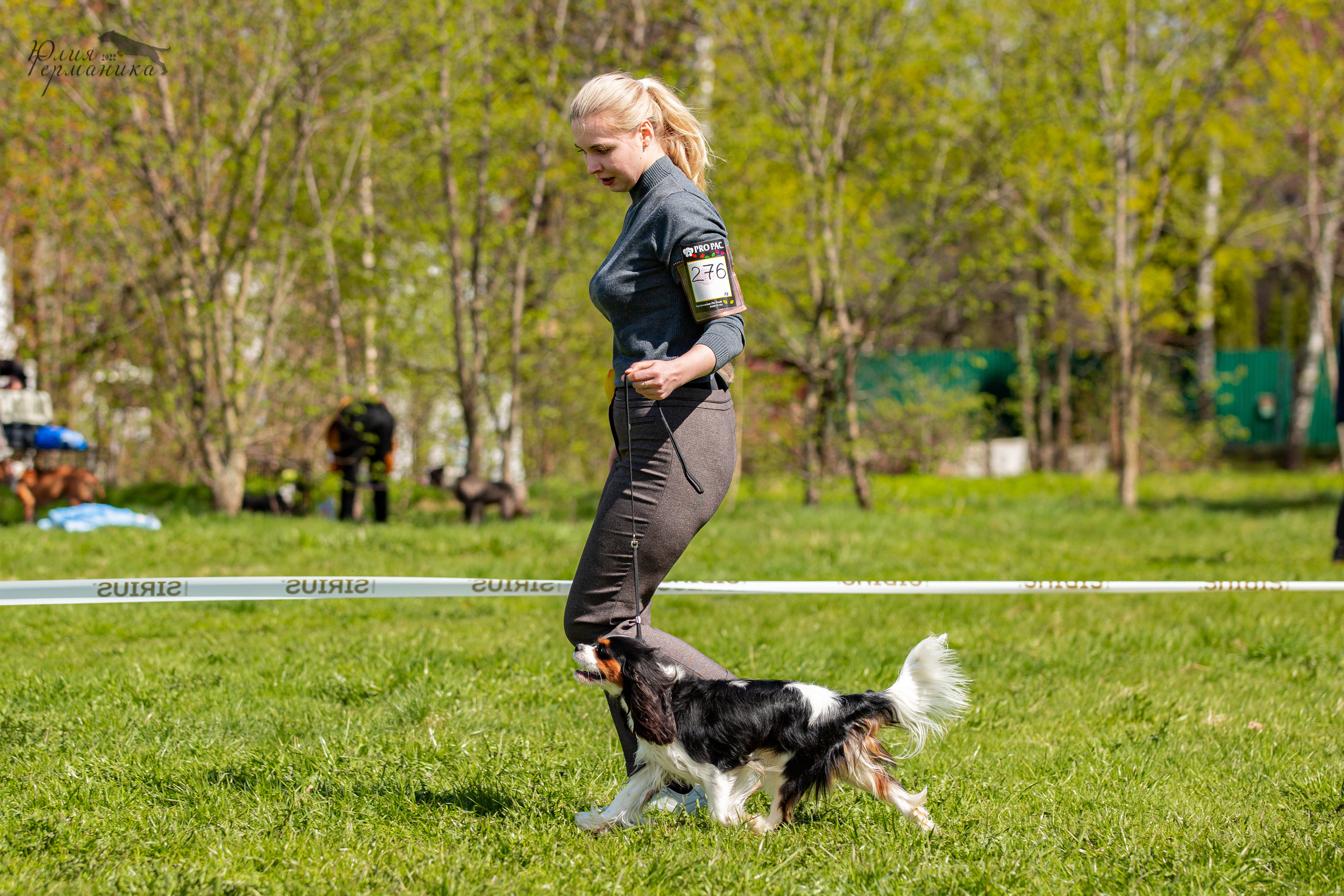 Пушкино 2хЧРКФ 14 мая 2022. Фотограф-анималист Юлия Германика