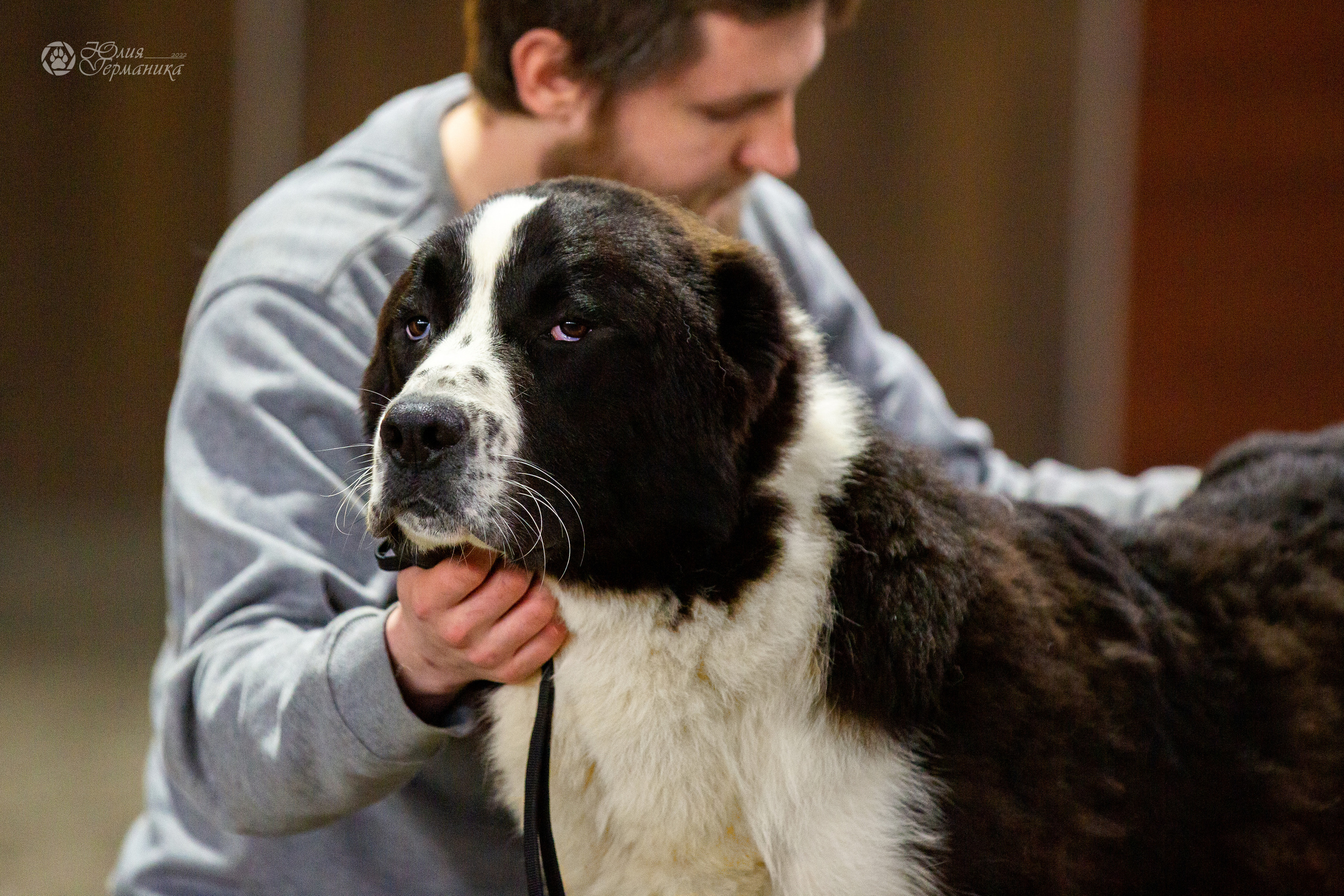 Националка САО+КЧК 24 апреля 2022. Фотограф-анималист Юлия Германика