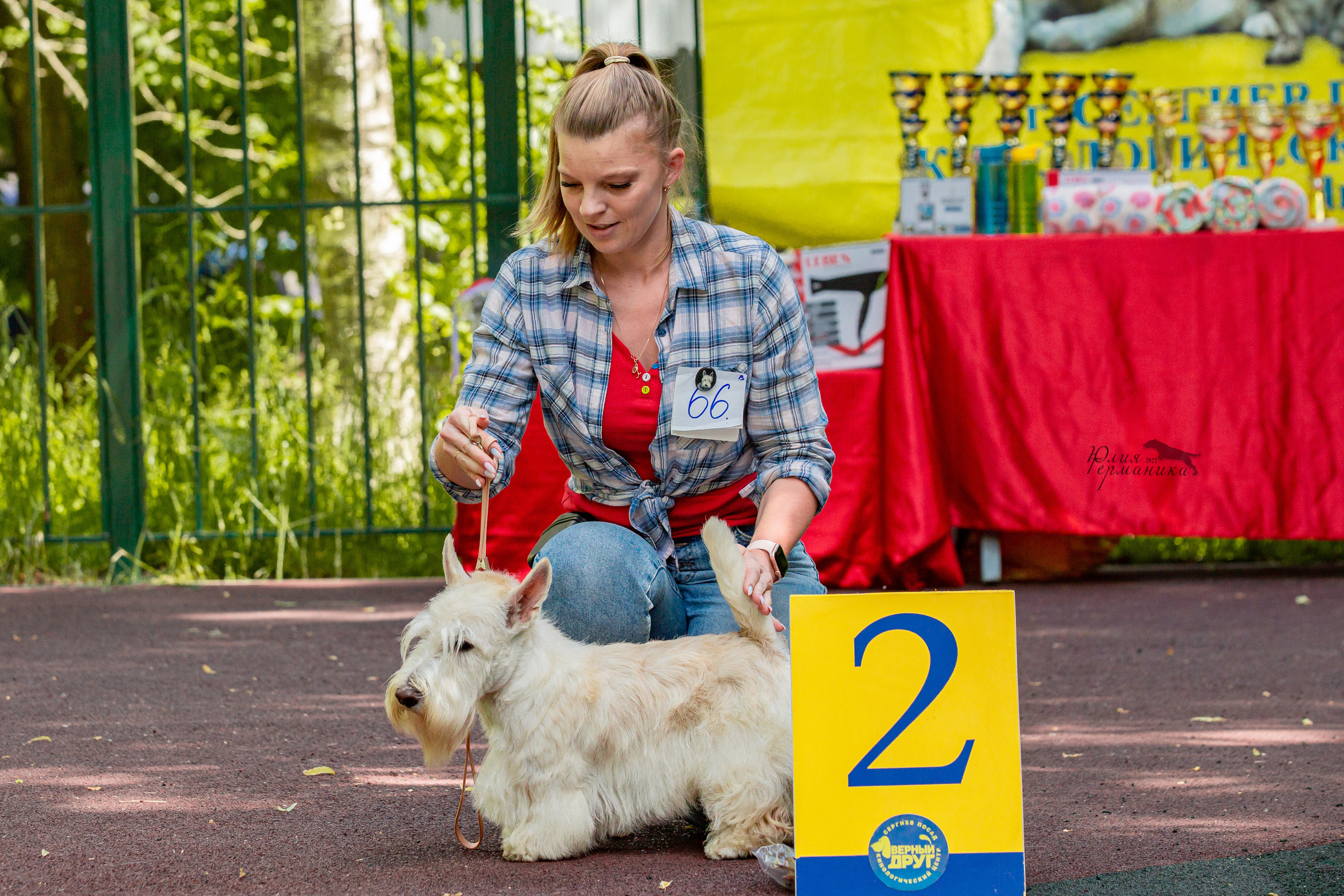 Сергиев Посад 2хСАС 25.06.2022. Фотограф-анималист Юлия Германика