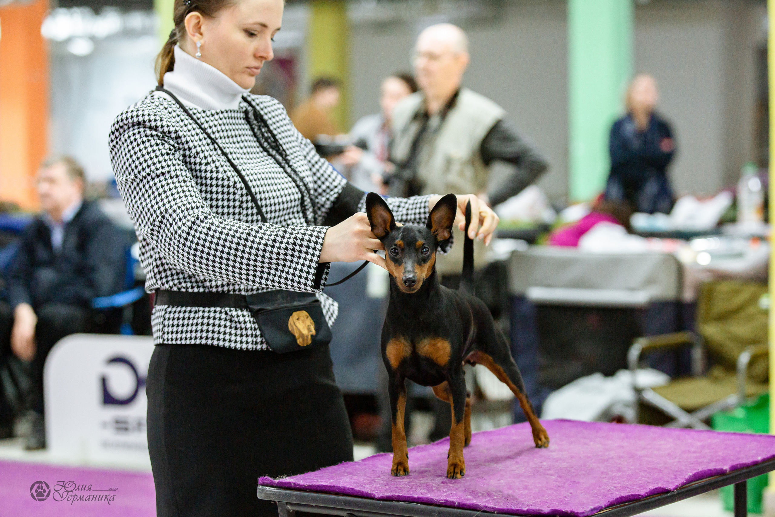 Чайна-Таун 16-17 апреля 2022. Фотограф-анималист Юлия Германика