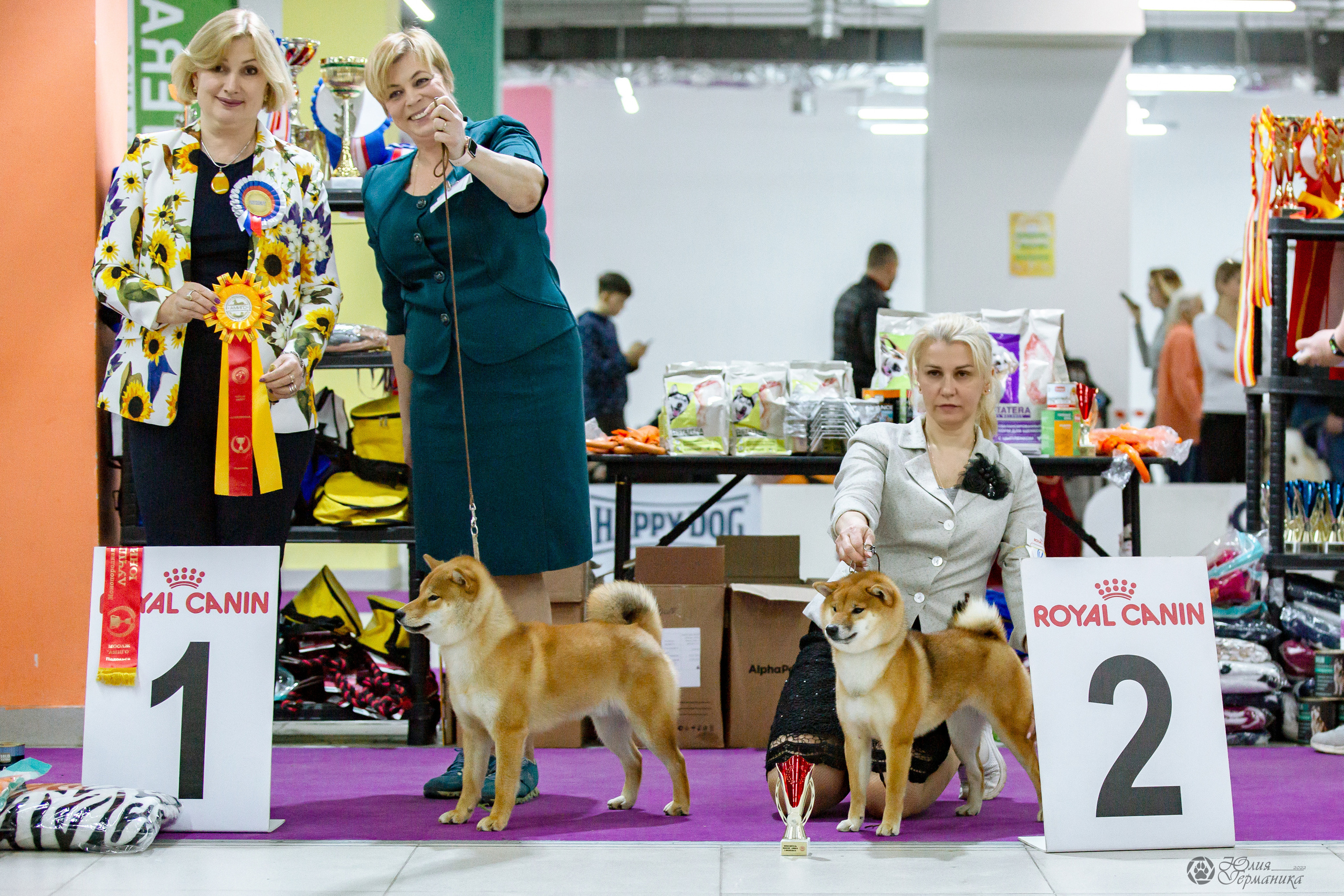 Чайна-Таун 16-17 апреля 2022. Фотограф-анималист Юлия Германика