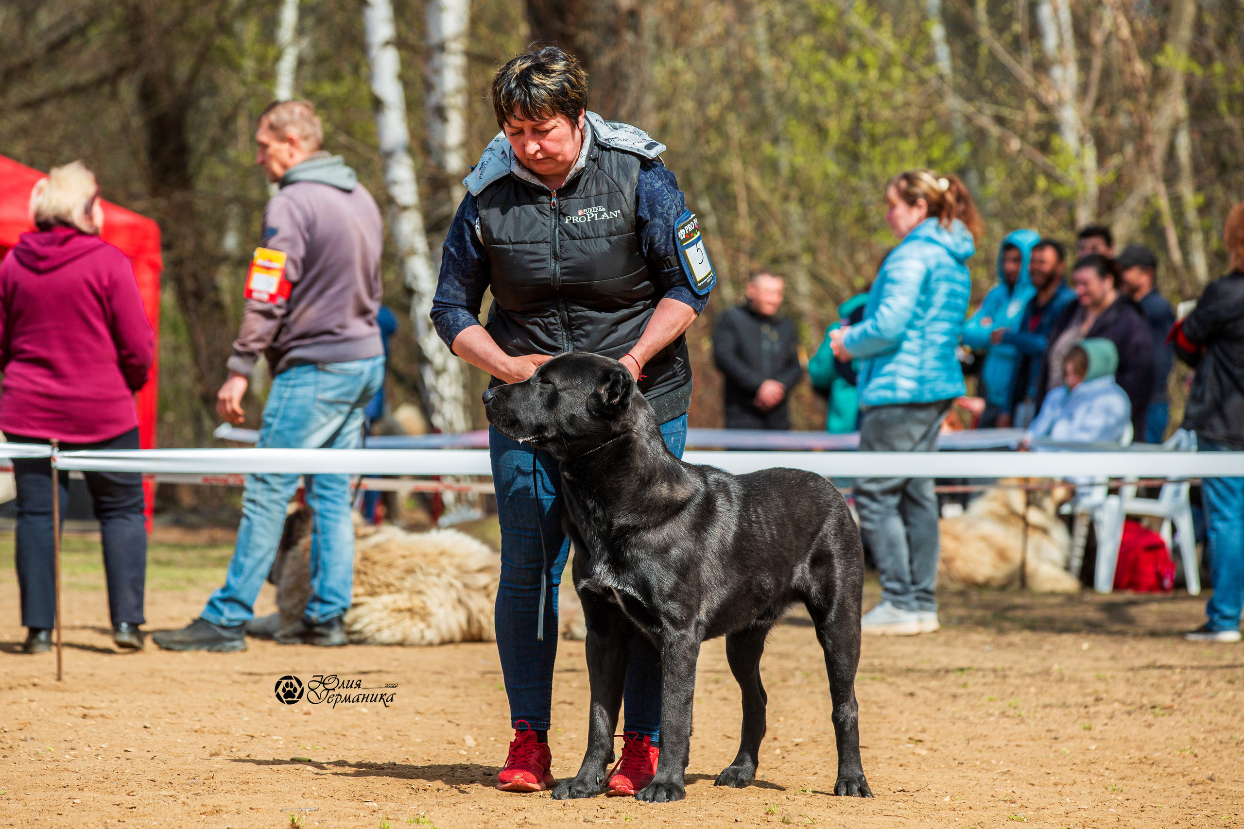 Сокольники 1 мая 2022. Фотограф-анималист Юлия Германика