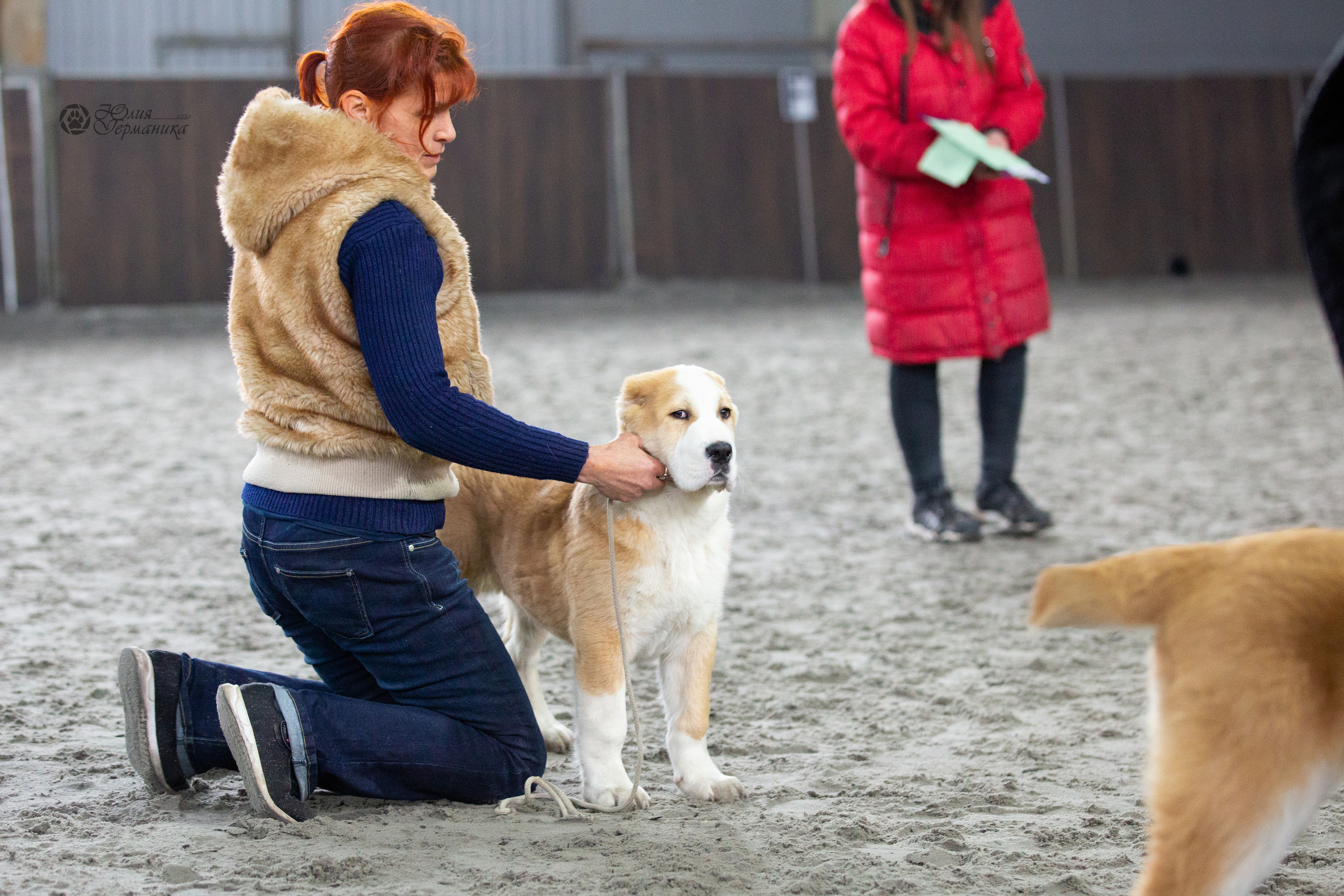 Националка САО+КЧК 24 апреля 2022. Фотограф-анималист Юлия Германика
