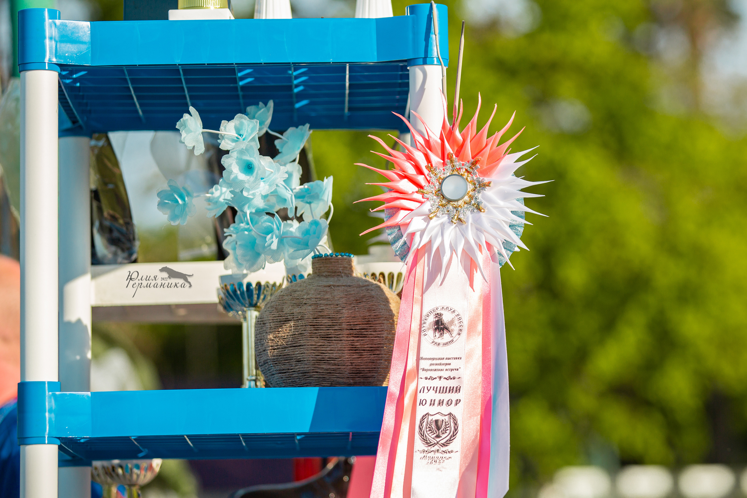 Воронеж моно ротвейлеров 28-29 мая 2022. Фотограф-анималист Юлия Германика