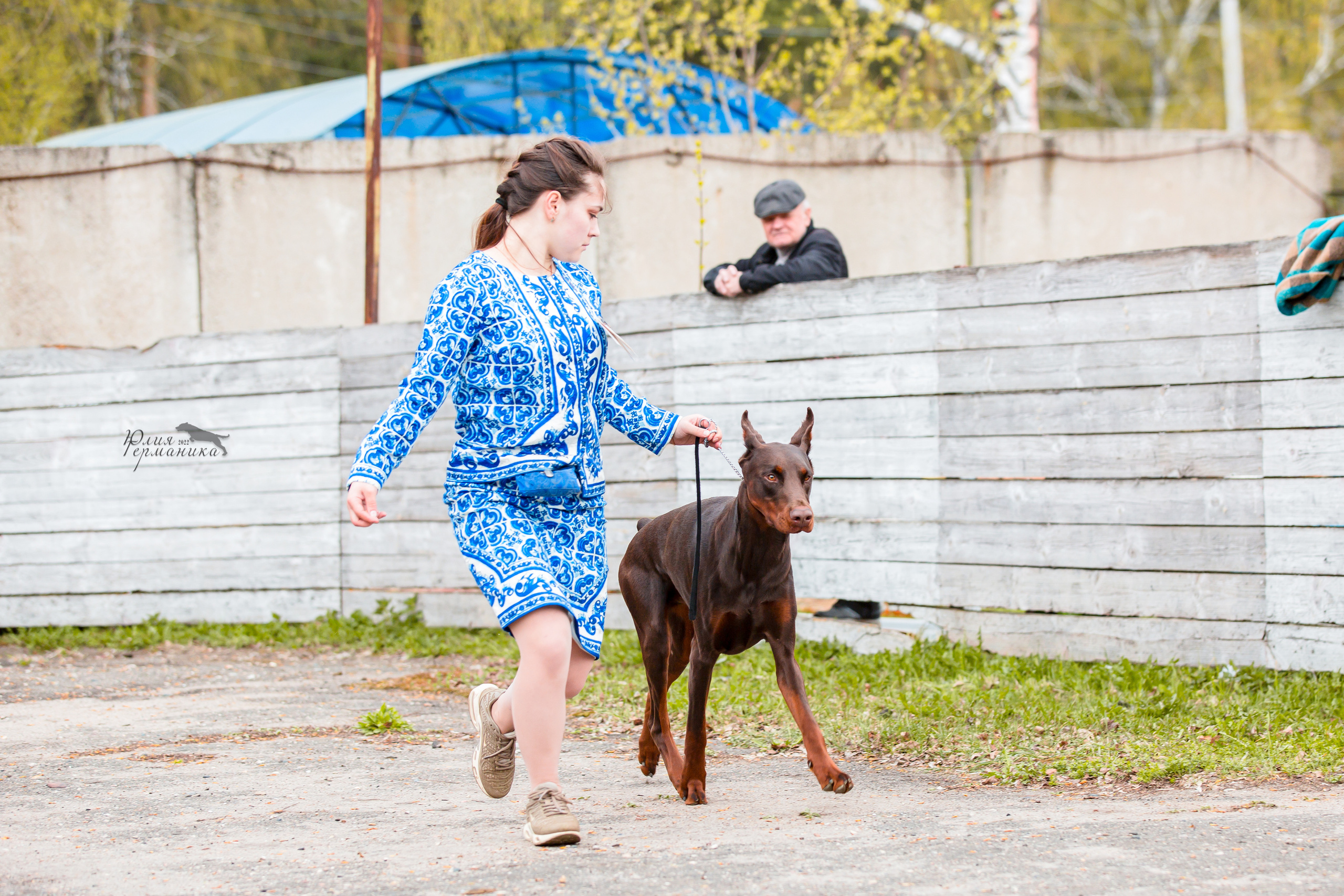 Александров 2хСАС 8 мая 2022. Фотограф-анималист Юлия Германика