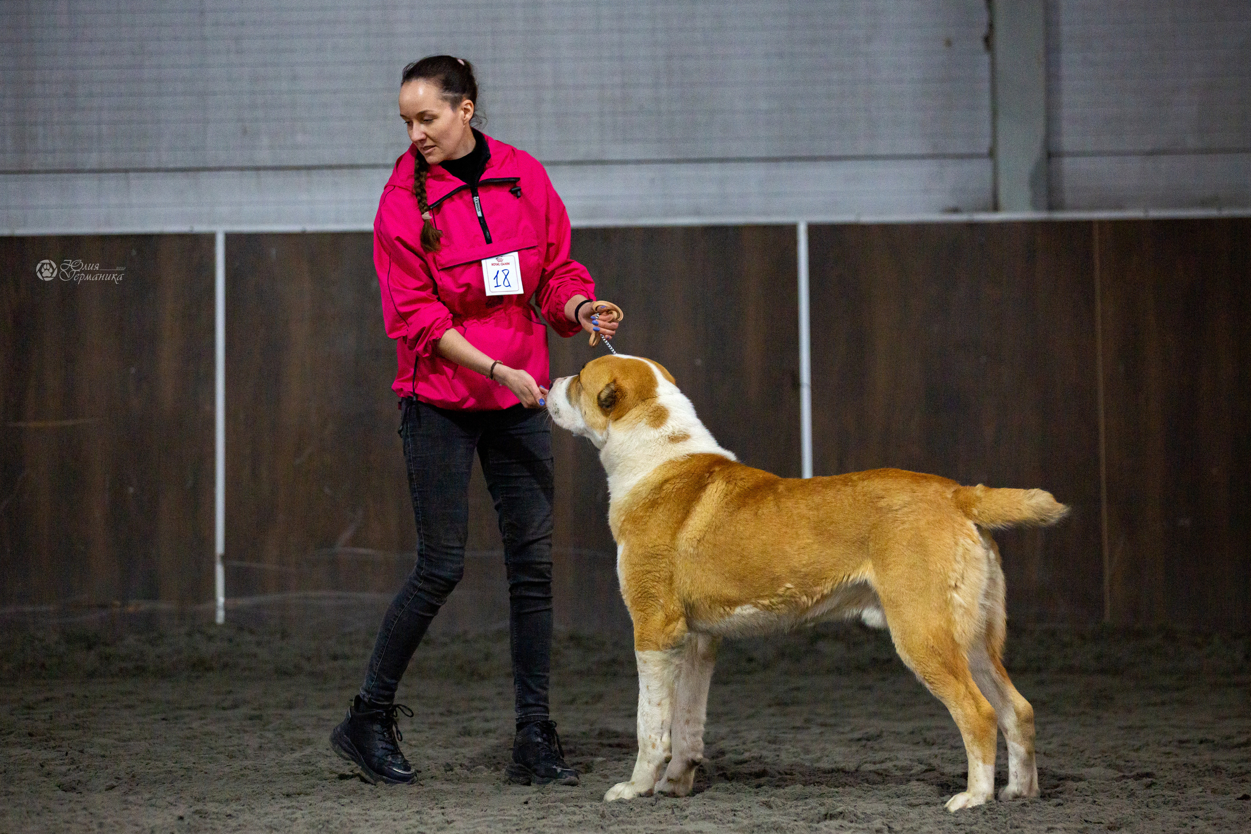 Националка САО+КЧК 24 апреля 2022. Фотограф-анималист Юлия Германика