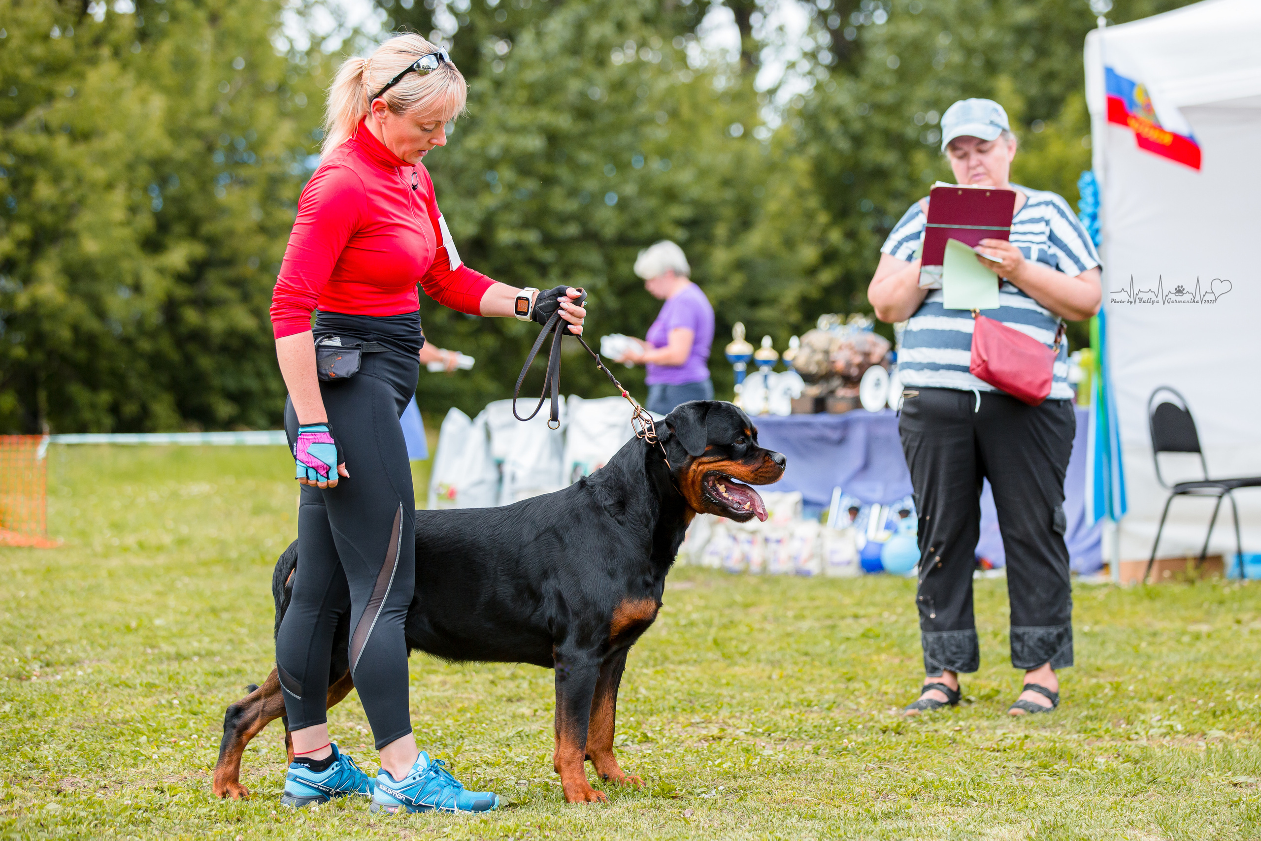 Санкт-Петербург моно ротвейлеров 23.07.2022. Фотограф-анималист Юлия Германика