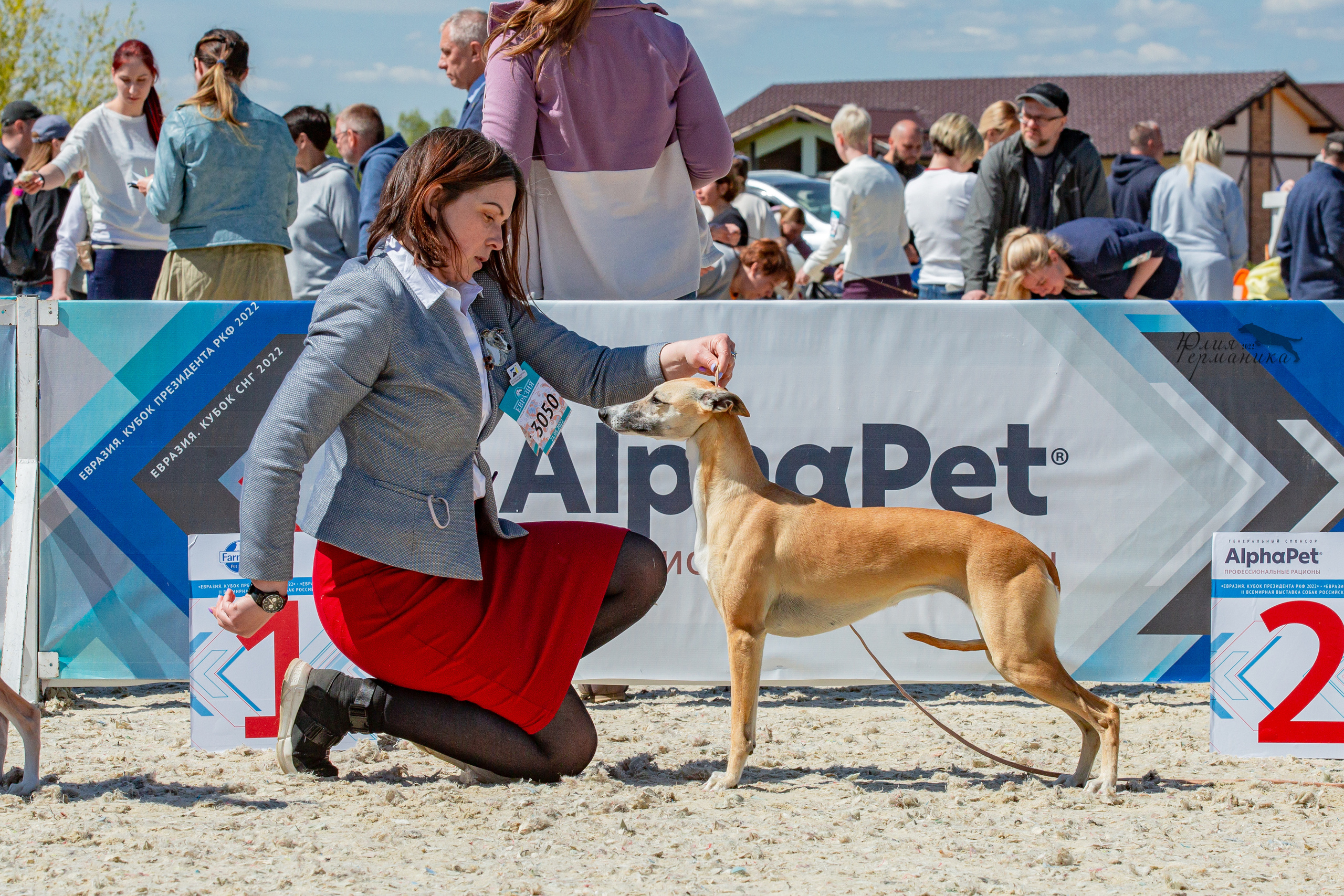 Евразия 21-22 мая 2022. Фотограф-анималист Юлия Германика