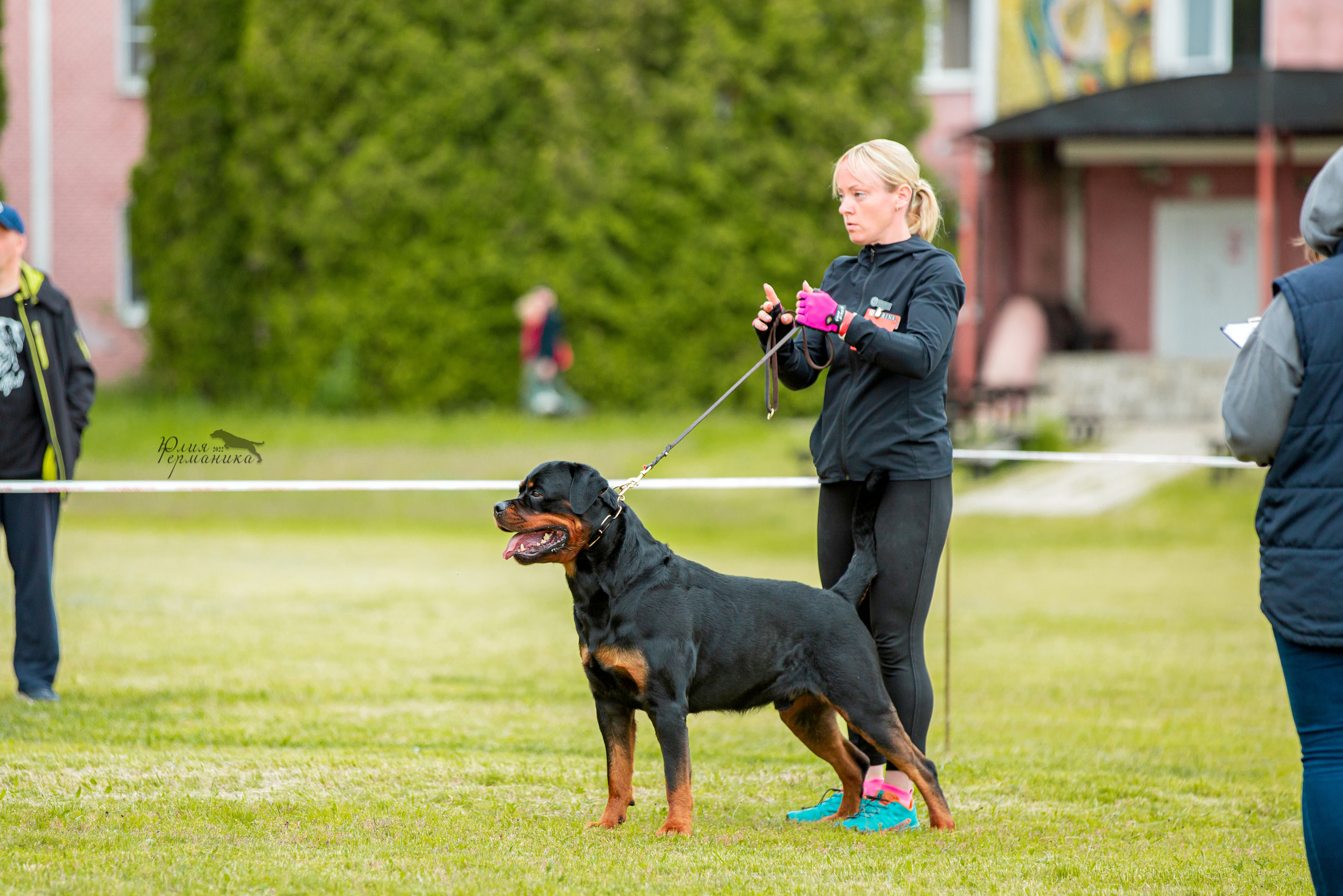 Воронеж моно ротвейлеров 28-29 мая 2022. Фотограф-анималист Юлия Германика