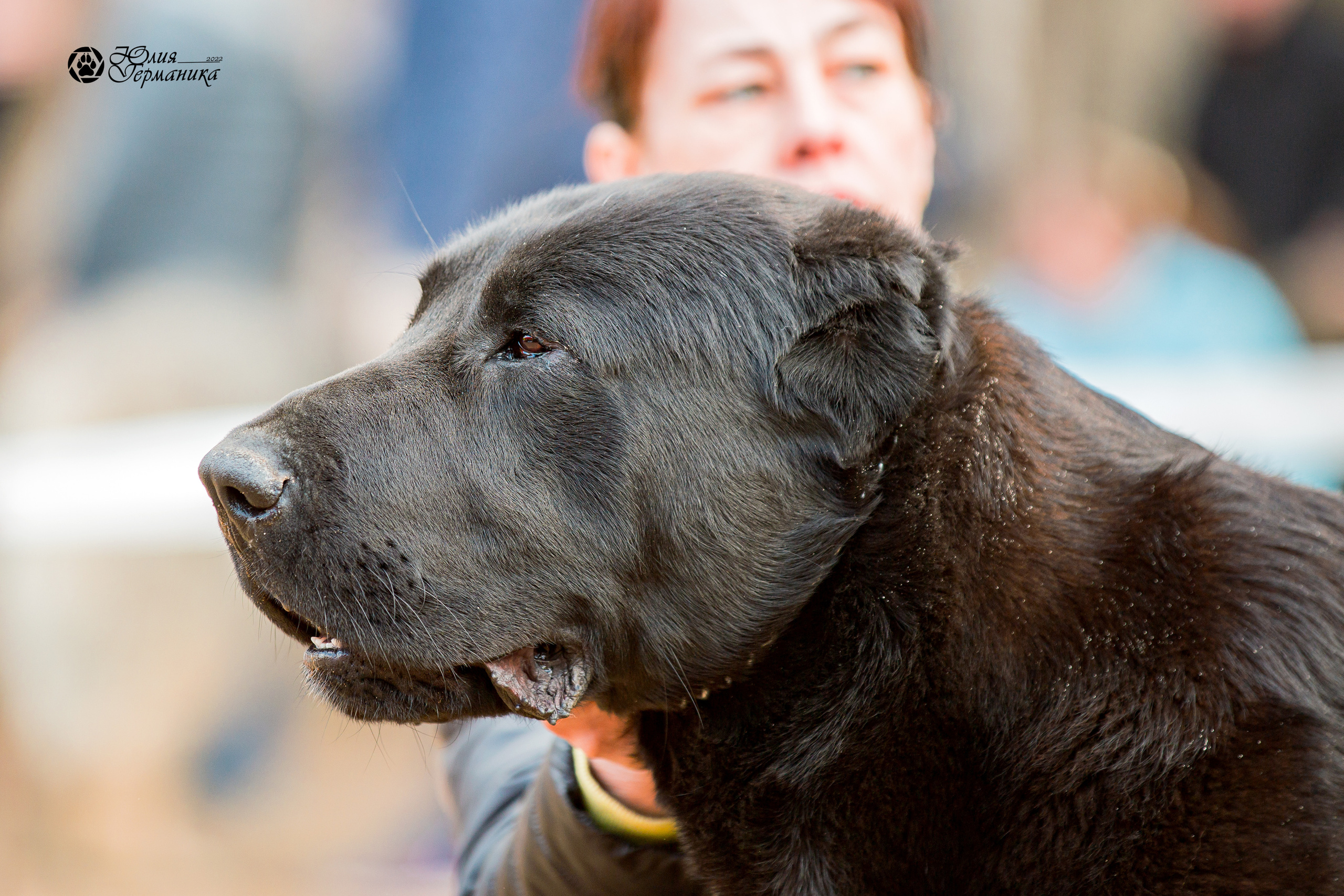 Сокольники 1 мая 2022. Фотограф-анималист Юлия Германика