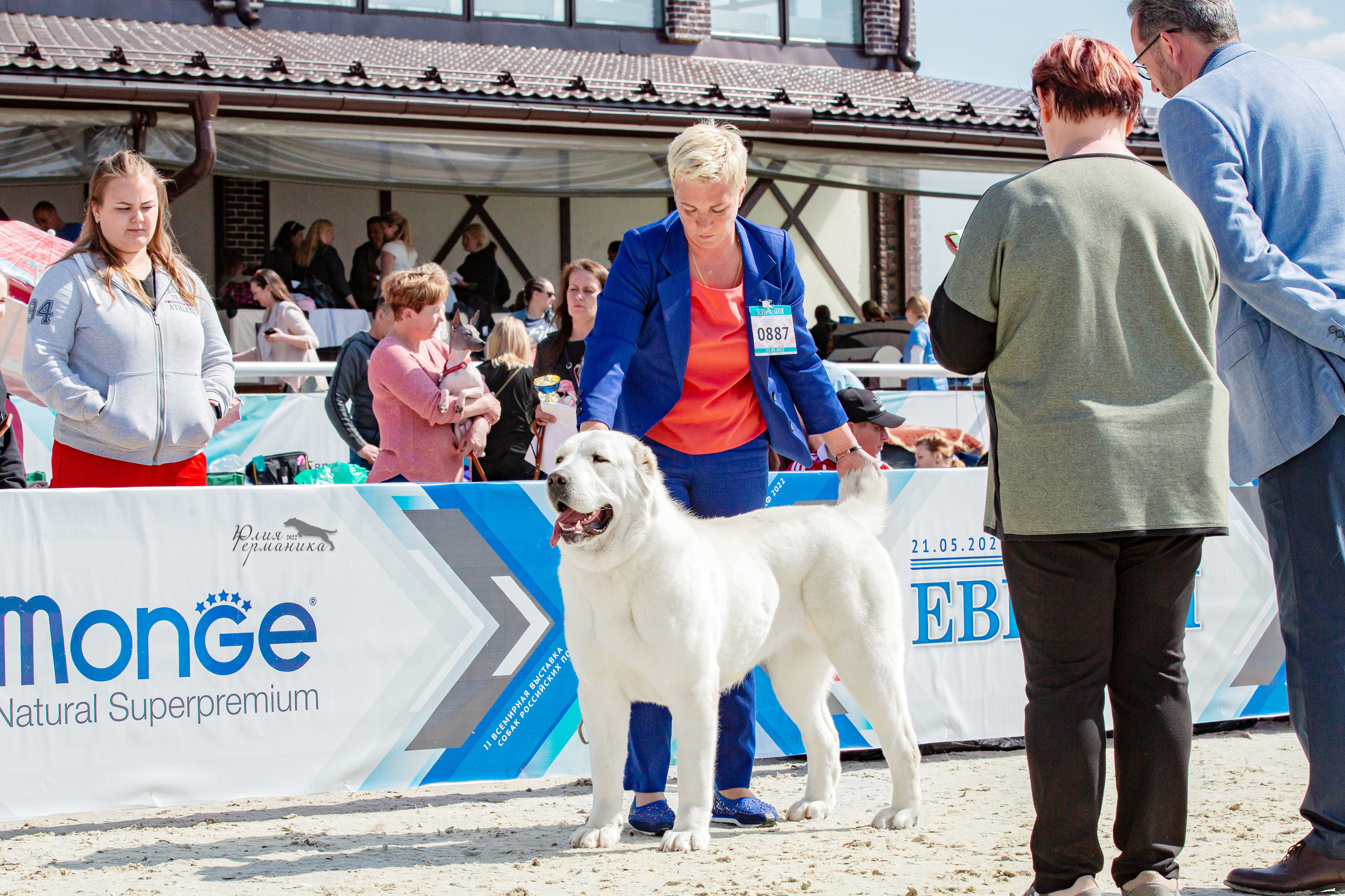 Евразия 21-22 мая 2022. Фотограф-анималист Юлия Германика