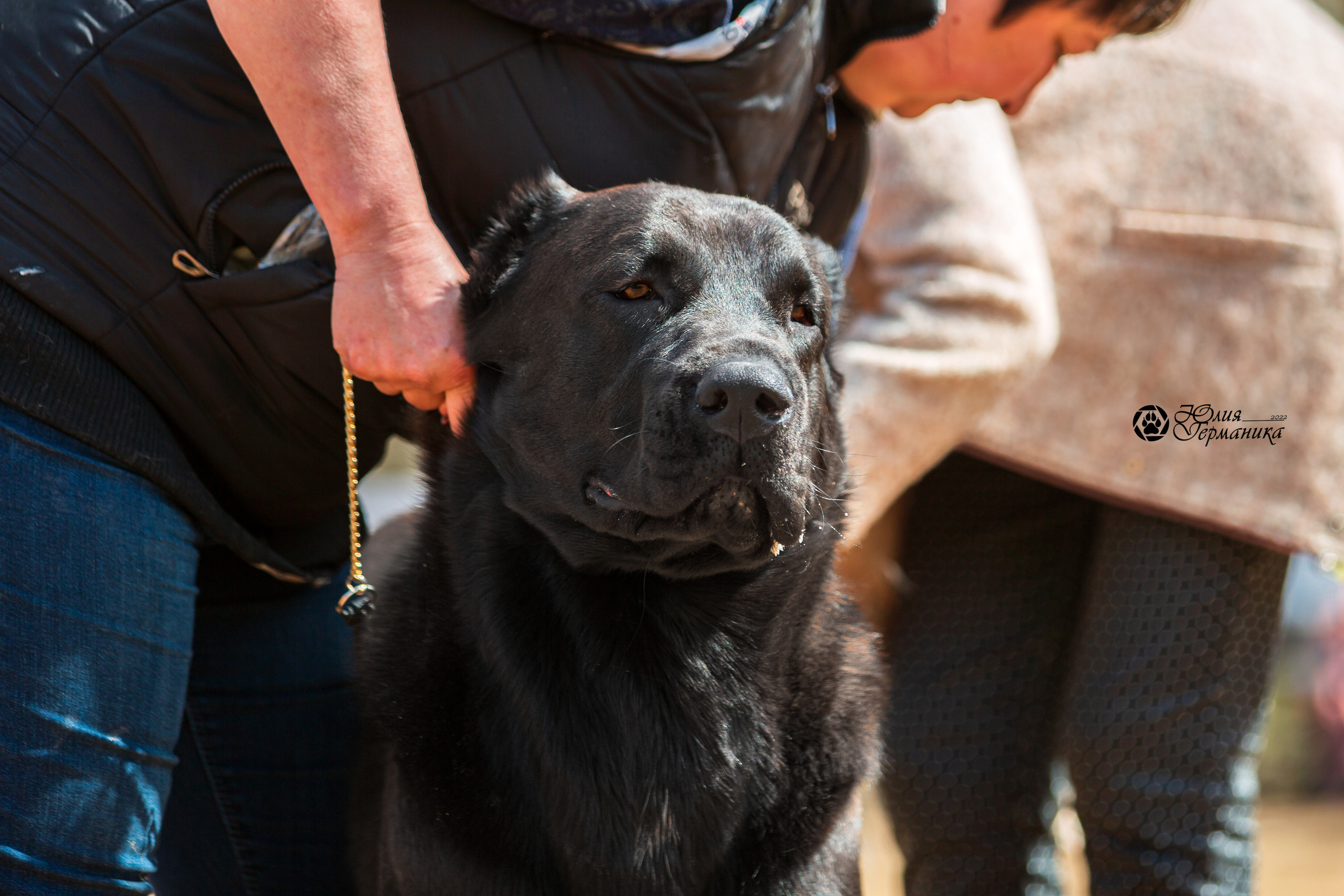 Сокольники 1 мая 2022. Фотограф-анималист Юлия Германика