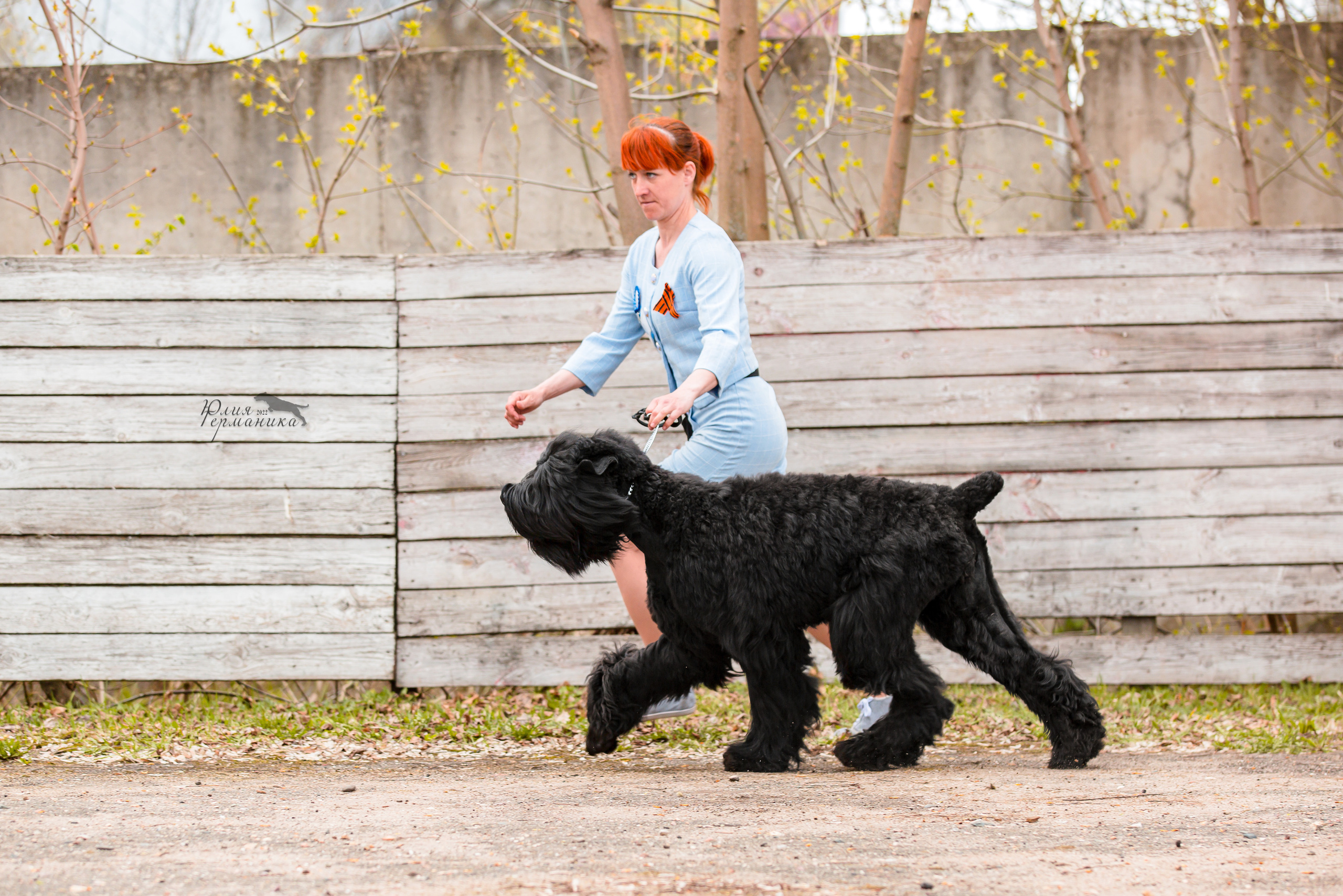 Александров 2хСАС 8 мая 2022. Фотограф-анималист Юлия Германика