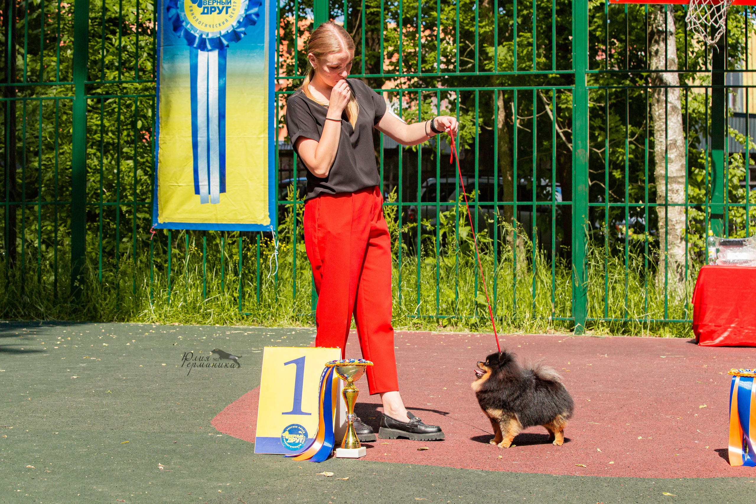 Сергиев Посад 2хСАС 25.06.2022. Фотограф-анималист Юлия Германика