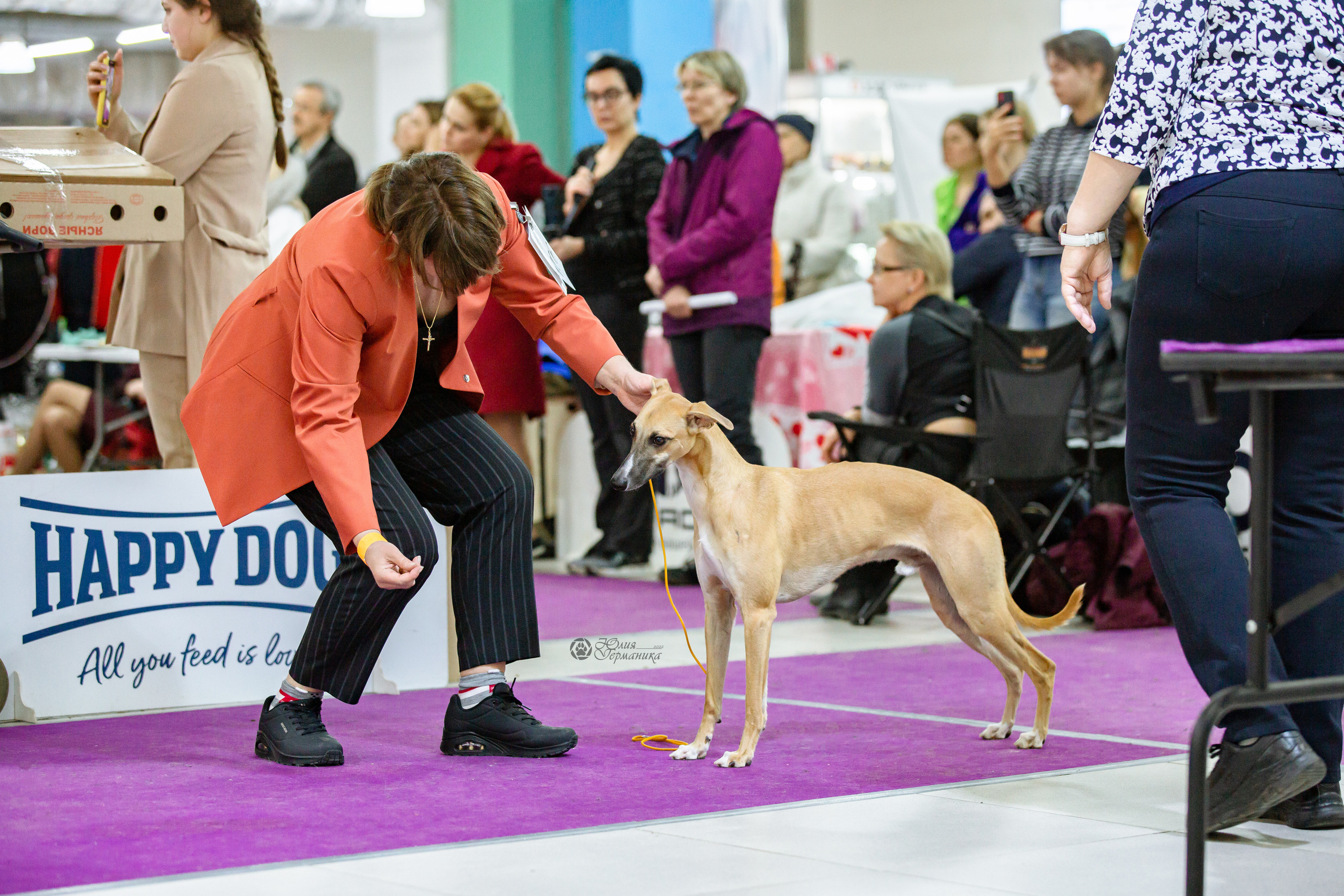 Чайна-Таун 16-17 апреля 2022. Фотограф-анималист Юлия Германика