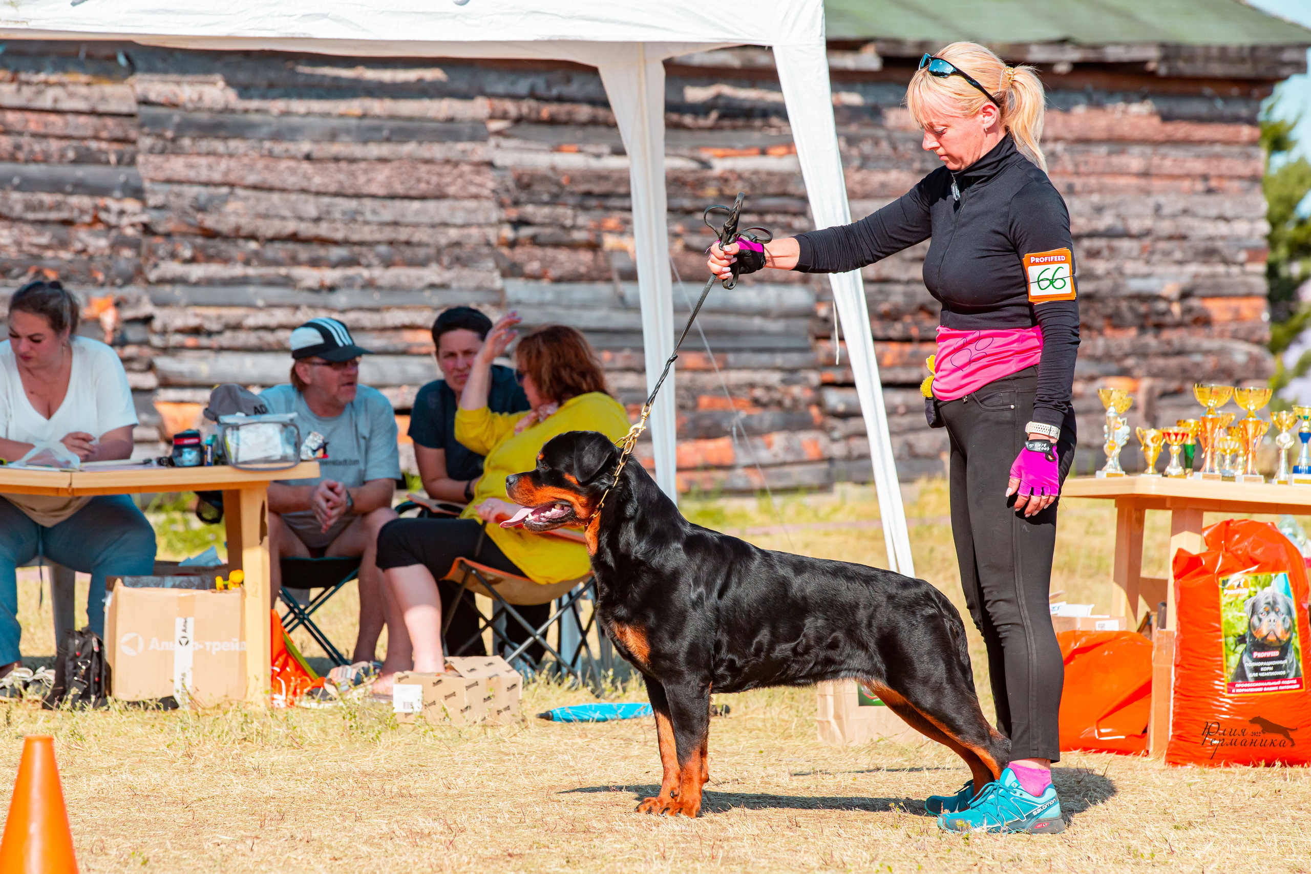 Тверь моно ротвейлеров 2-3.07.2022. Фотограф-анималист Юлия Германика