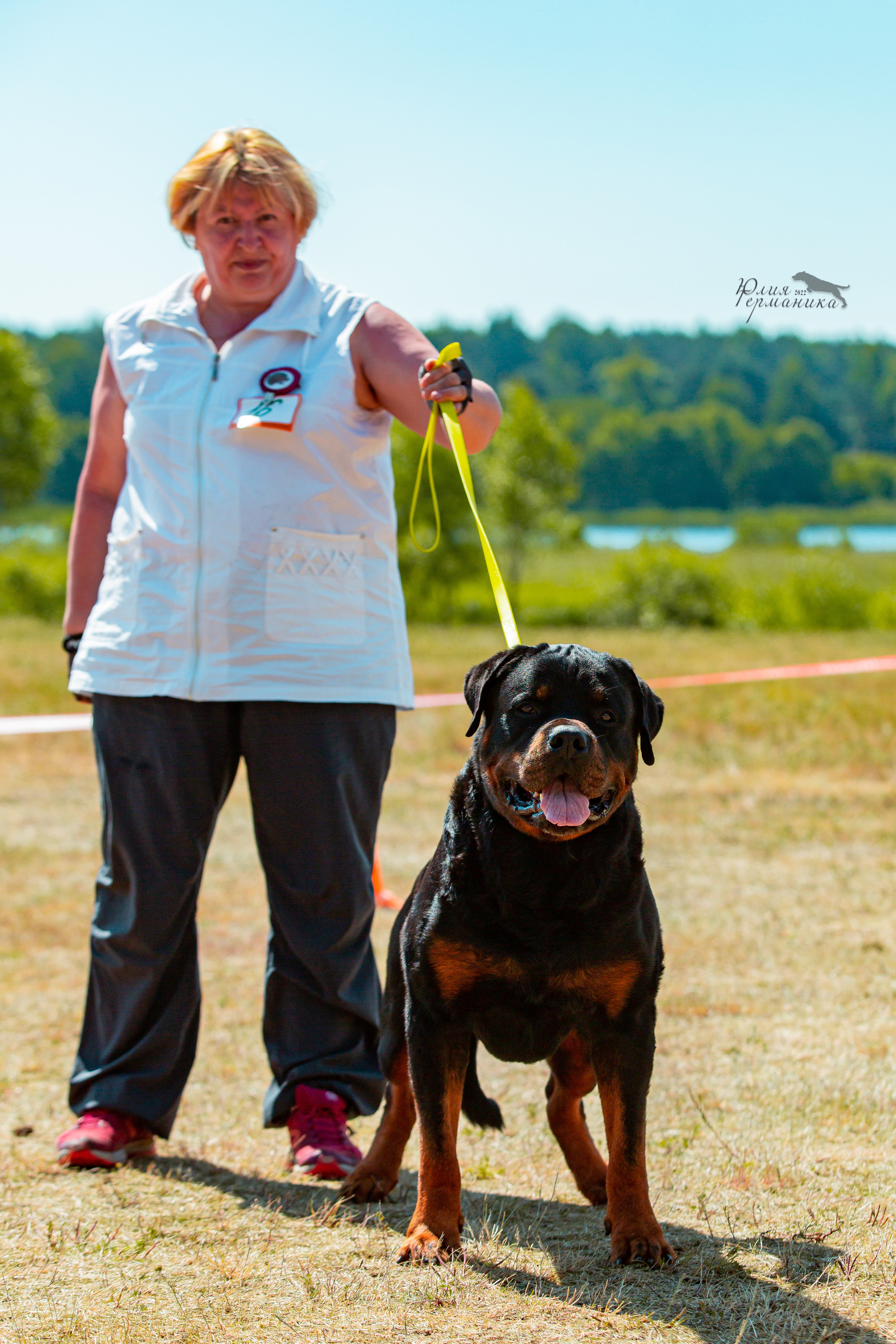 Тверь моно ротвейлеров 2-3.07.2022. Фотограф-анималист Юлия Германика