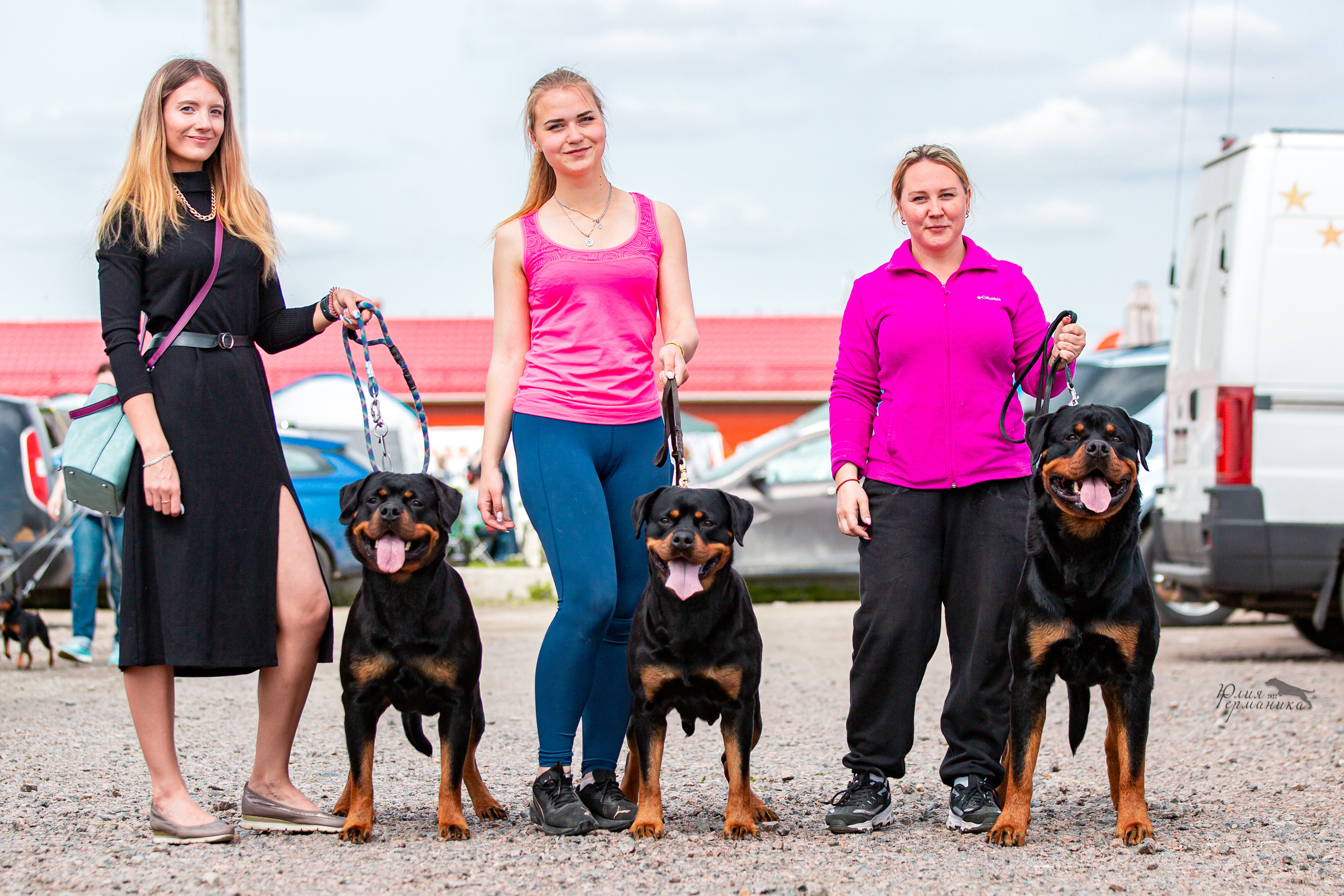 Смоленск 12.06,   Ховрино 13.06,    Питер 18.06 2022. Фотограф-анималист Юлия Германика