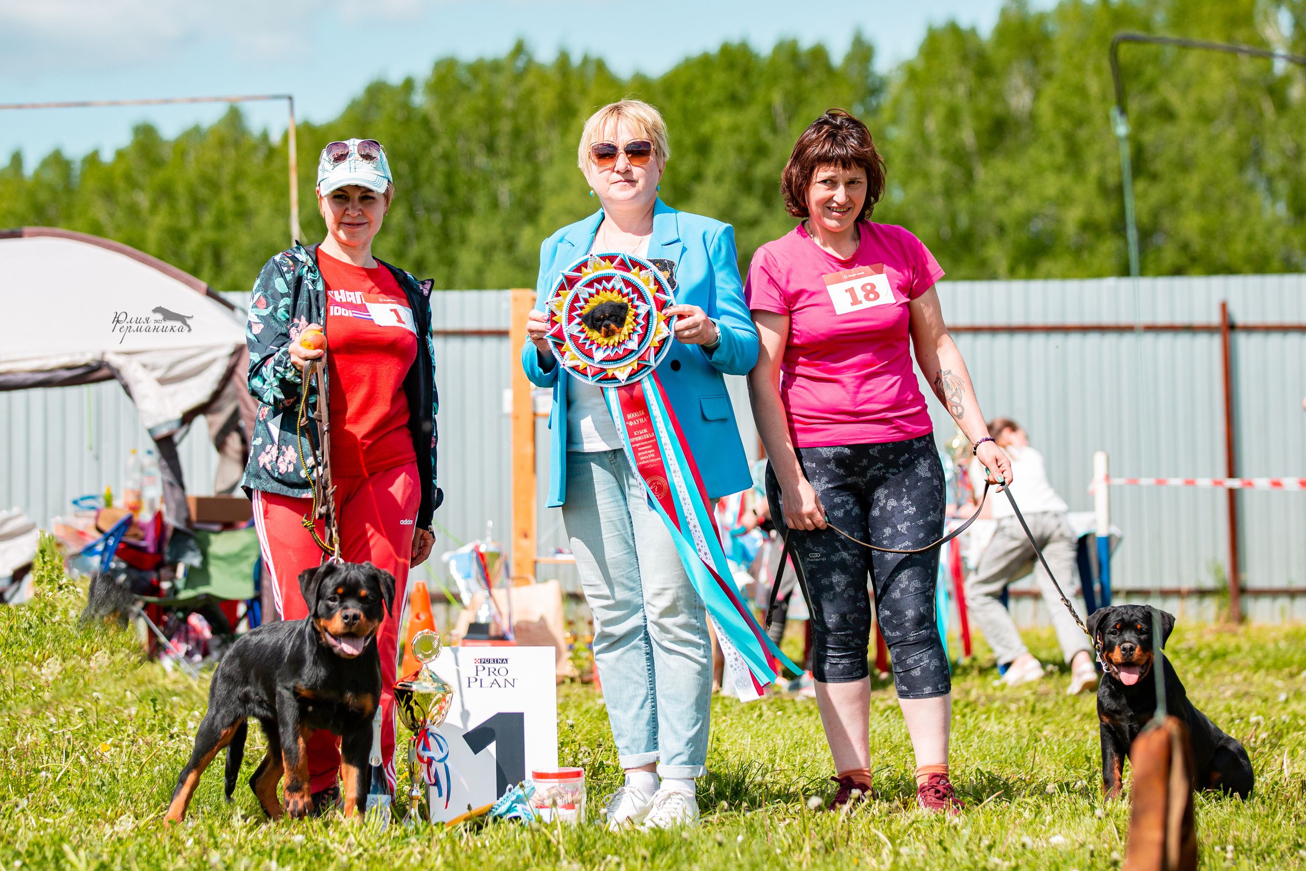 Нижний Новгород моно ротвейлеров 4 июня 2022. Фотограф-анималист Юлия Германика