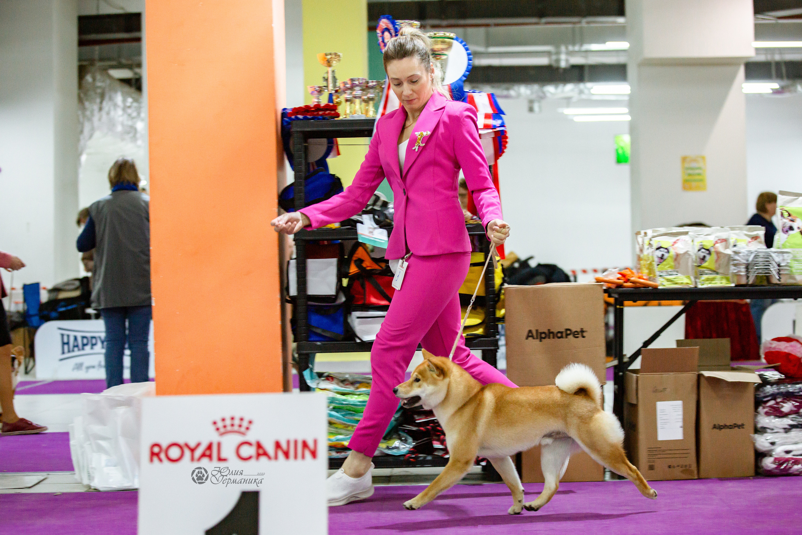 Чайна-Таун 16-17 апреля 2022. Фотограф-анималист Юлия Германика