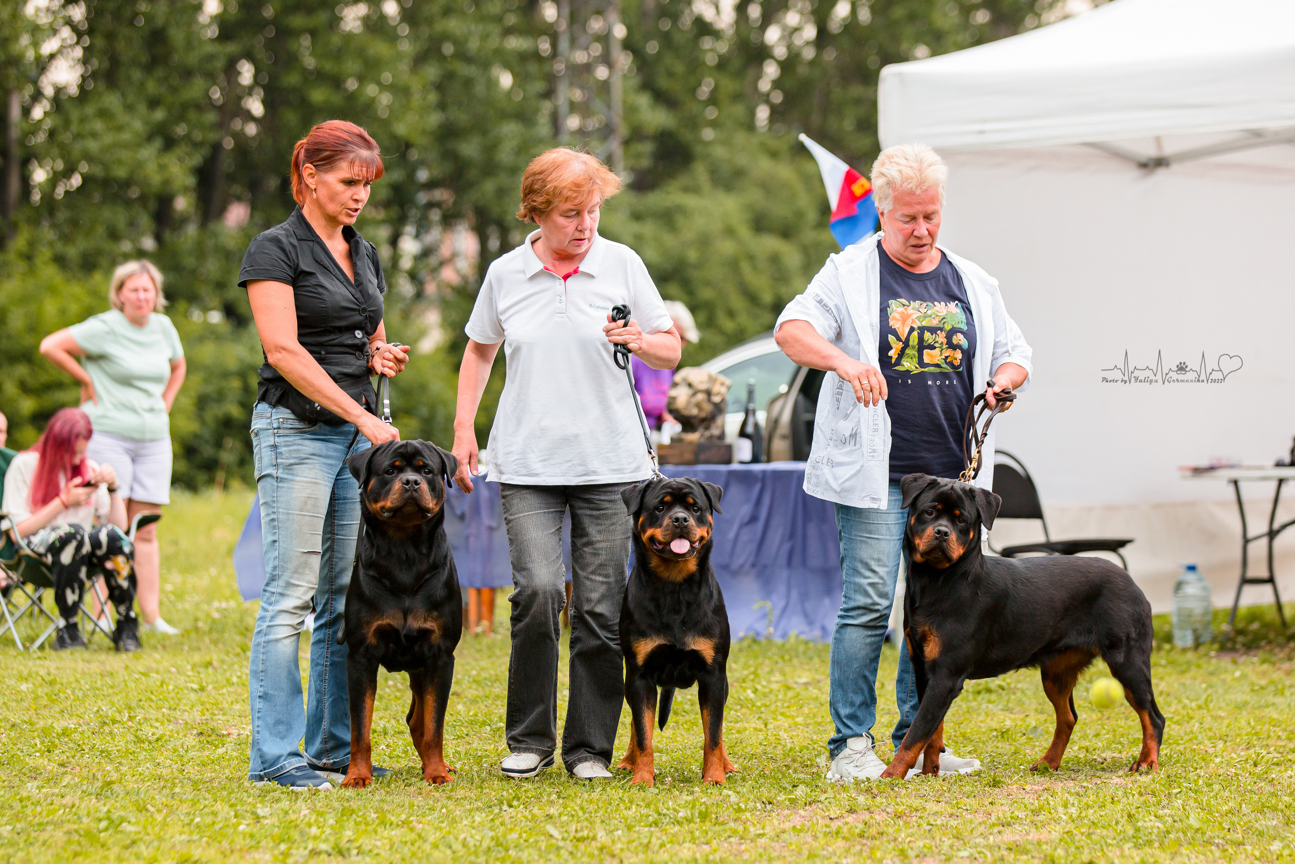 Санкт-Петербург моно ротвейлеров 23.07.2022. Фотограф-анималист Юлия Германика