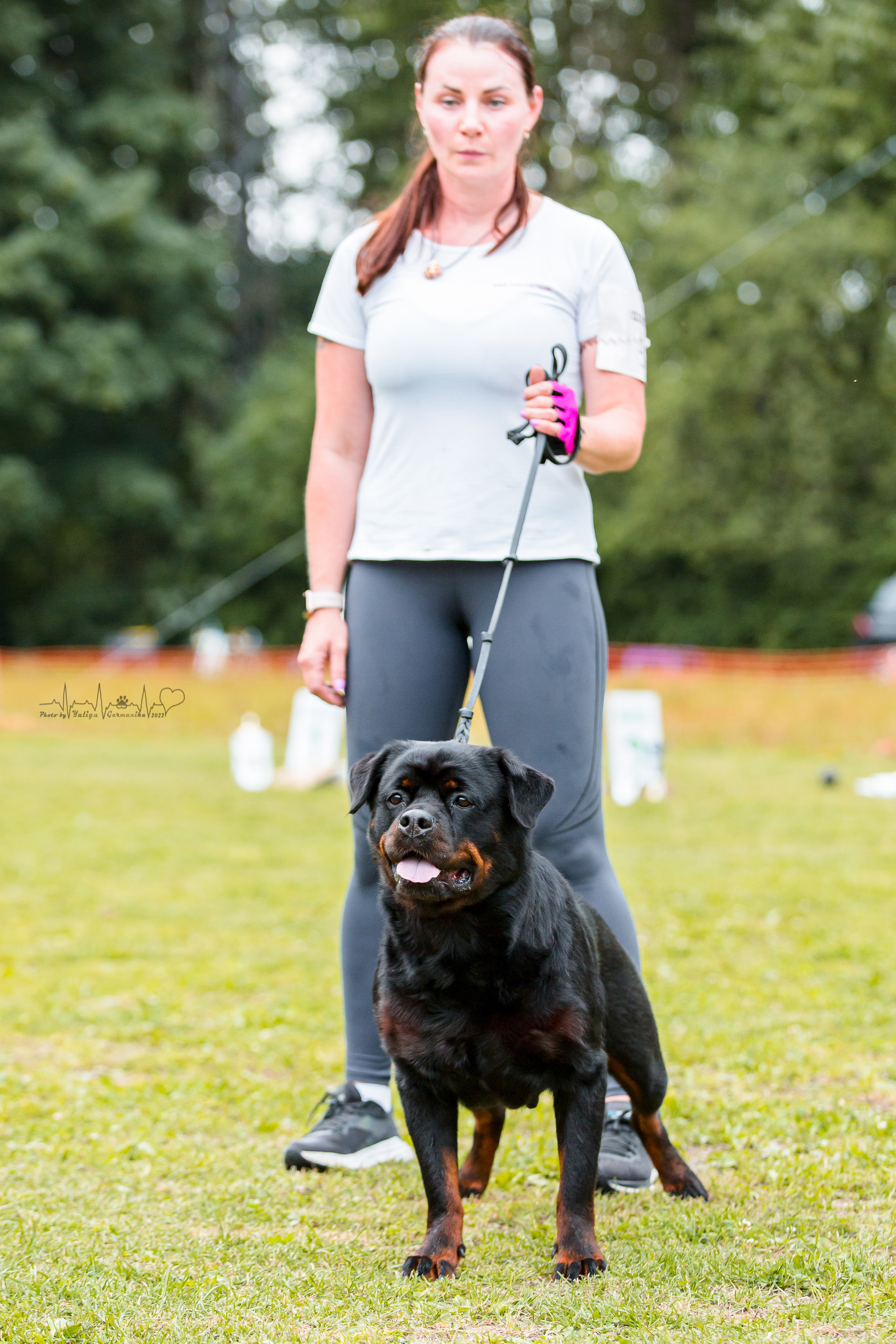 Санкт-Петербург моно ротвейлеров 23.07.2022. Фотограф-анималист Юлия Германика