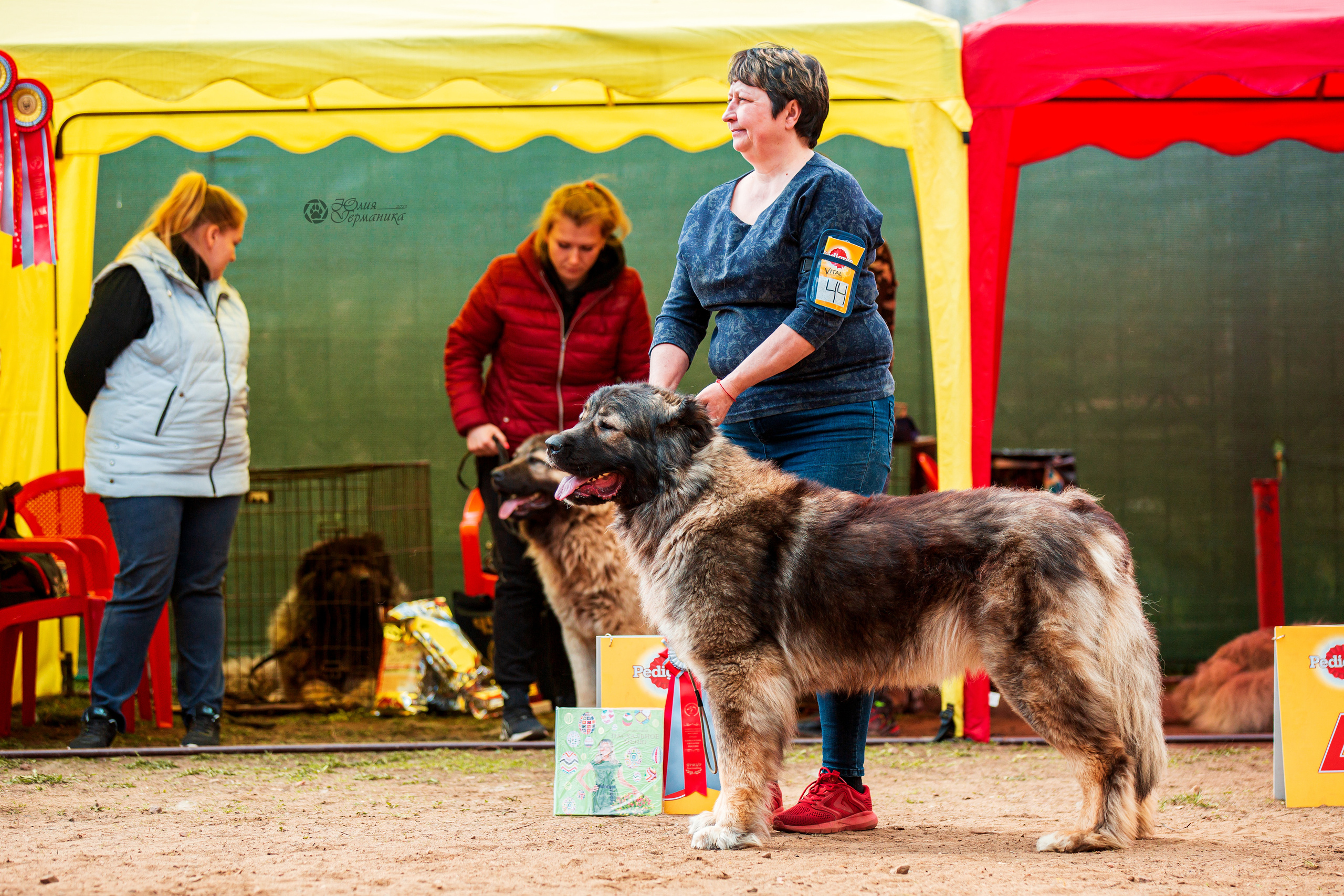 Сокольники 1 мая 2022. Фотограф-анималист Юлия Германика