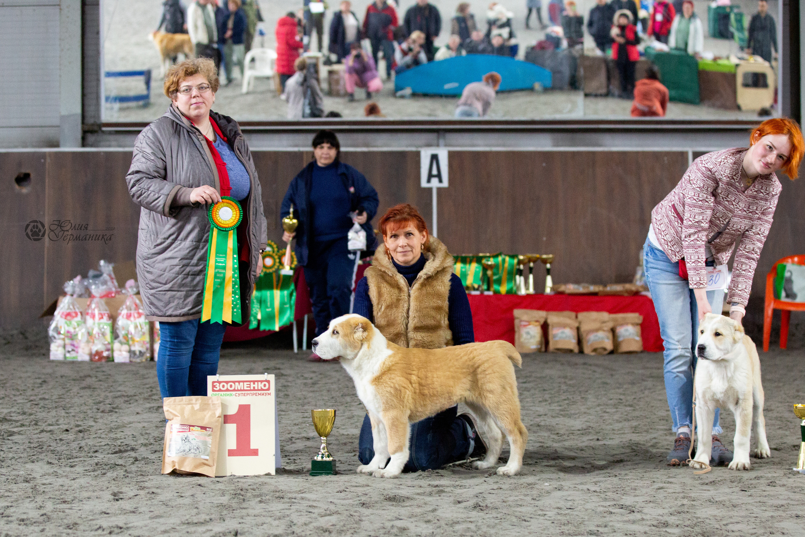 Националка САО+КЧК 24 апреля 2022. Фотограф-анималист Юлия Германика