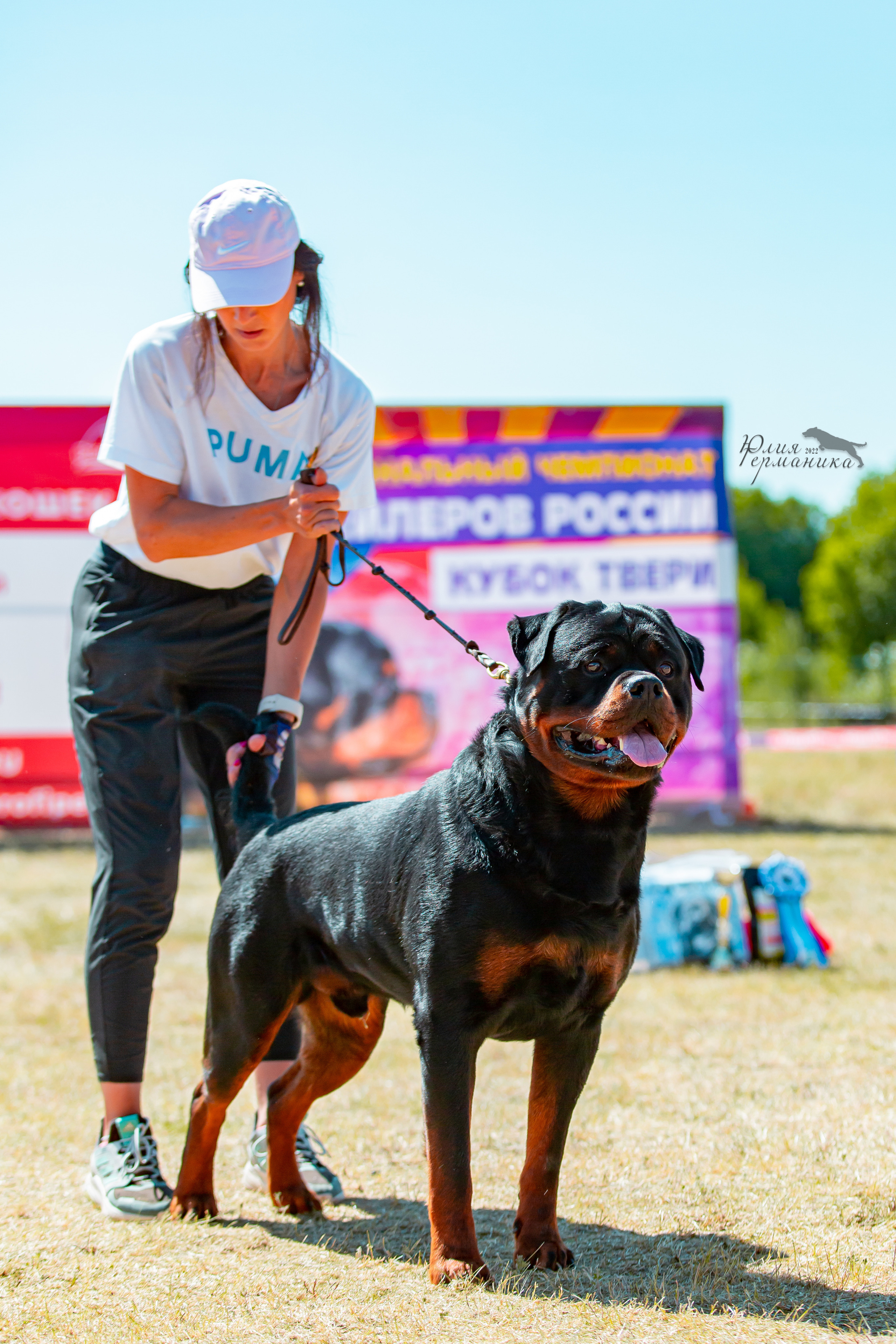 Тверь моно ротвейлеров 2-3.07.2022. Фотограф-анималист Юлия Германика