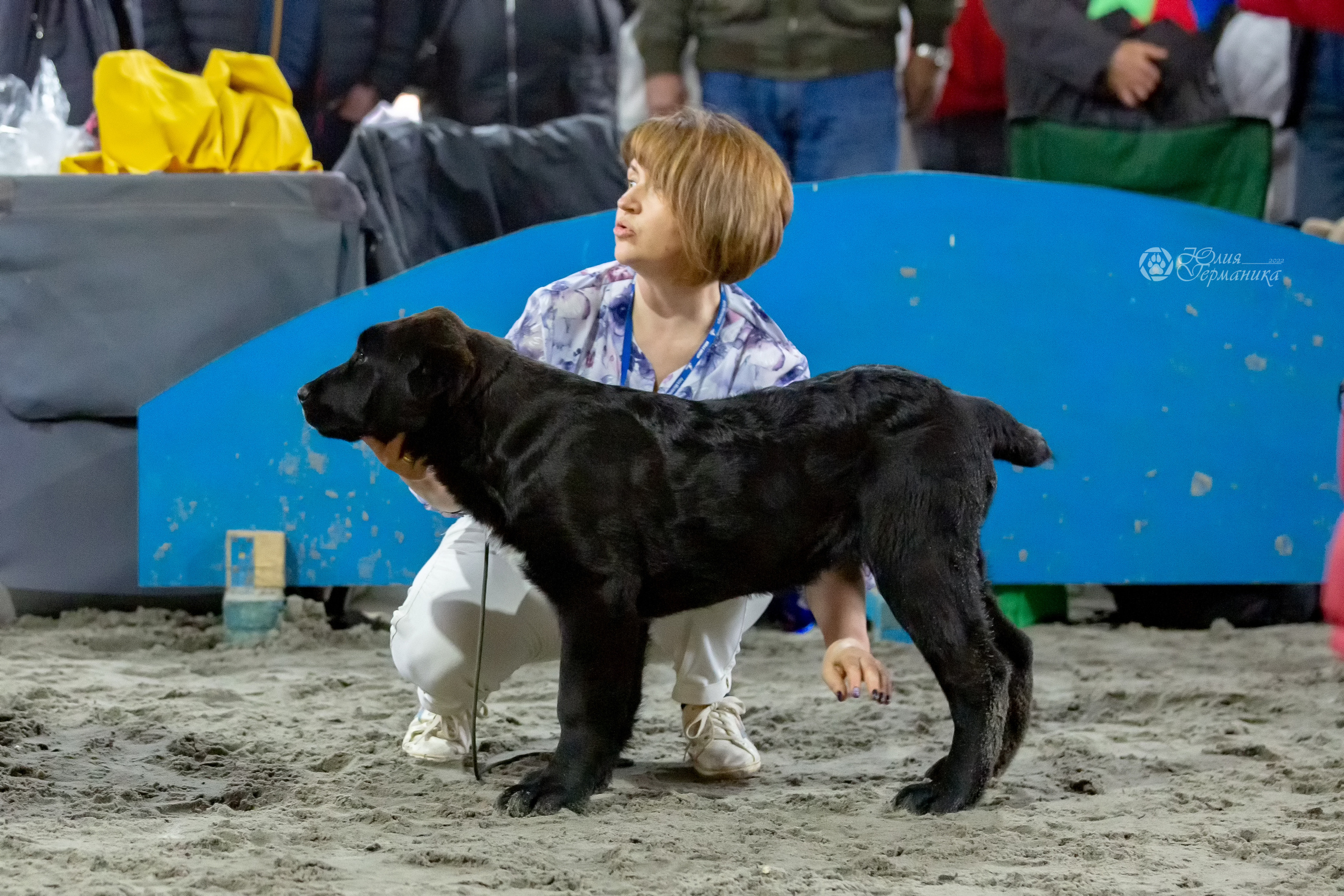 Националка САО+КЧК 24 апреля 2022. Фотограф-анималист Юлия Германика