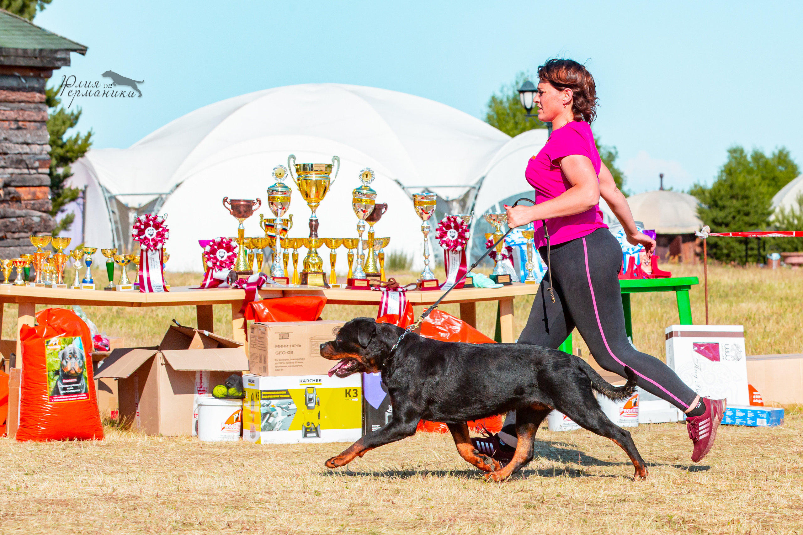 Тверь моно ротвейлеров 2-3.07.2022. Фотограф-анималист Юлия Германика